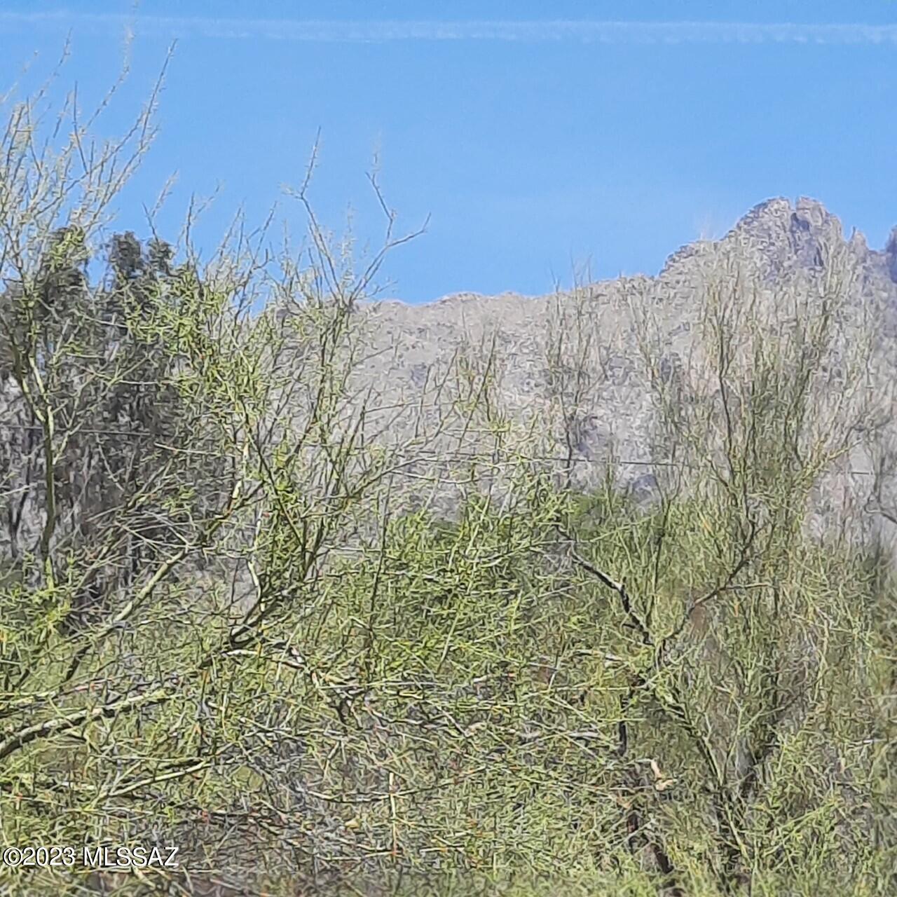 Catalina Foothills Estates - Land