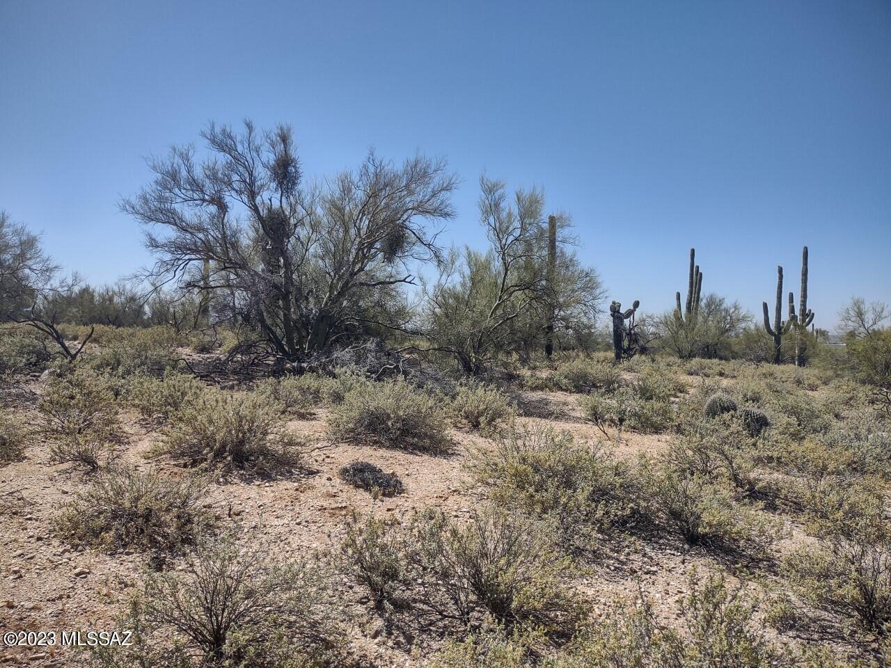 Catalina Foothills Estates - Land