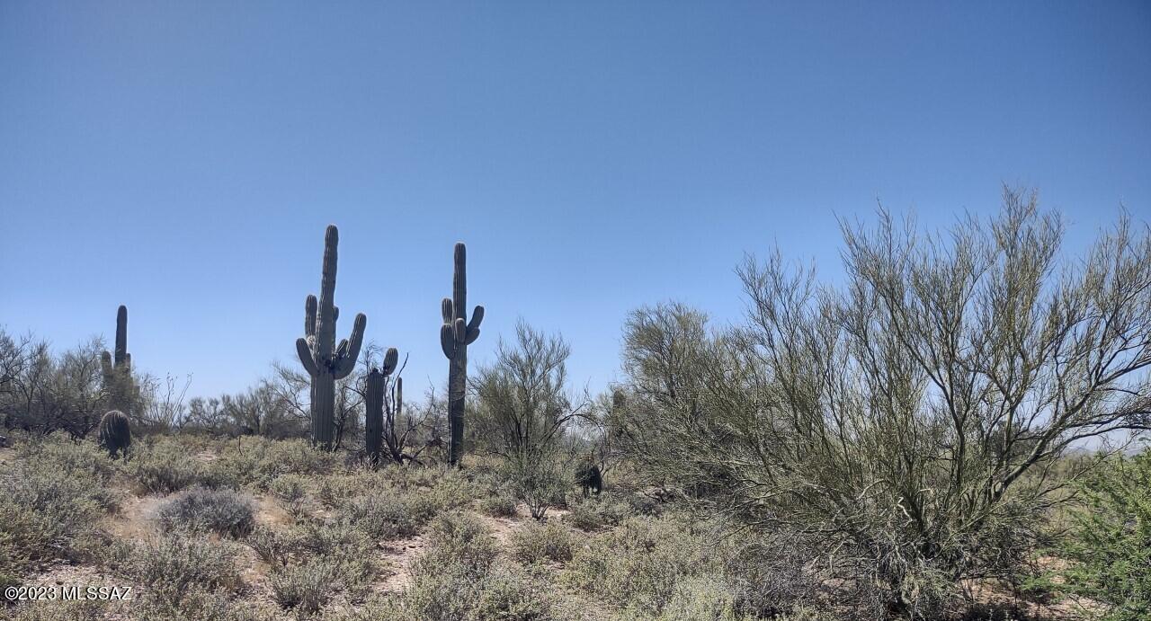 Catalina Foothills Estates - Land