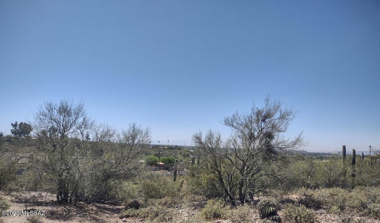 Catalina Foothills Estates - Land