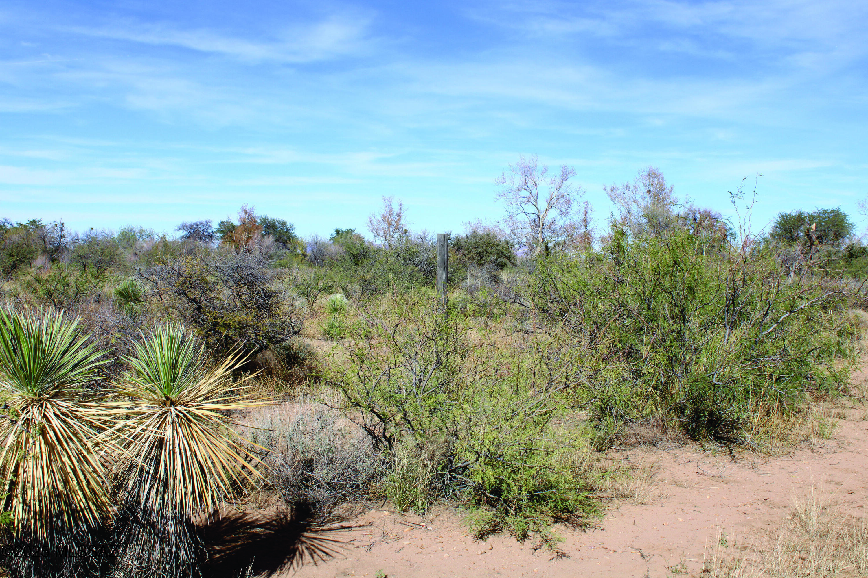 Turkey Creek Ranch - Land