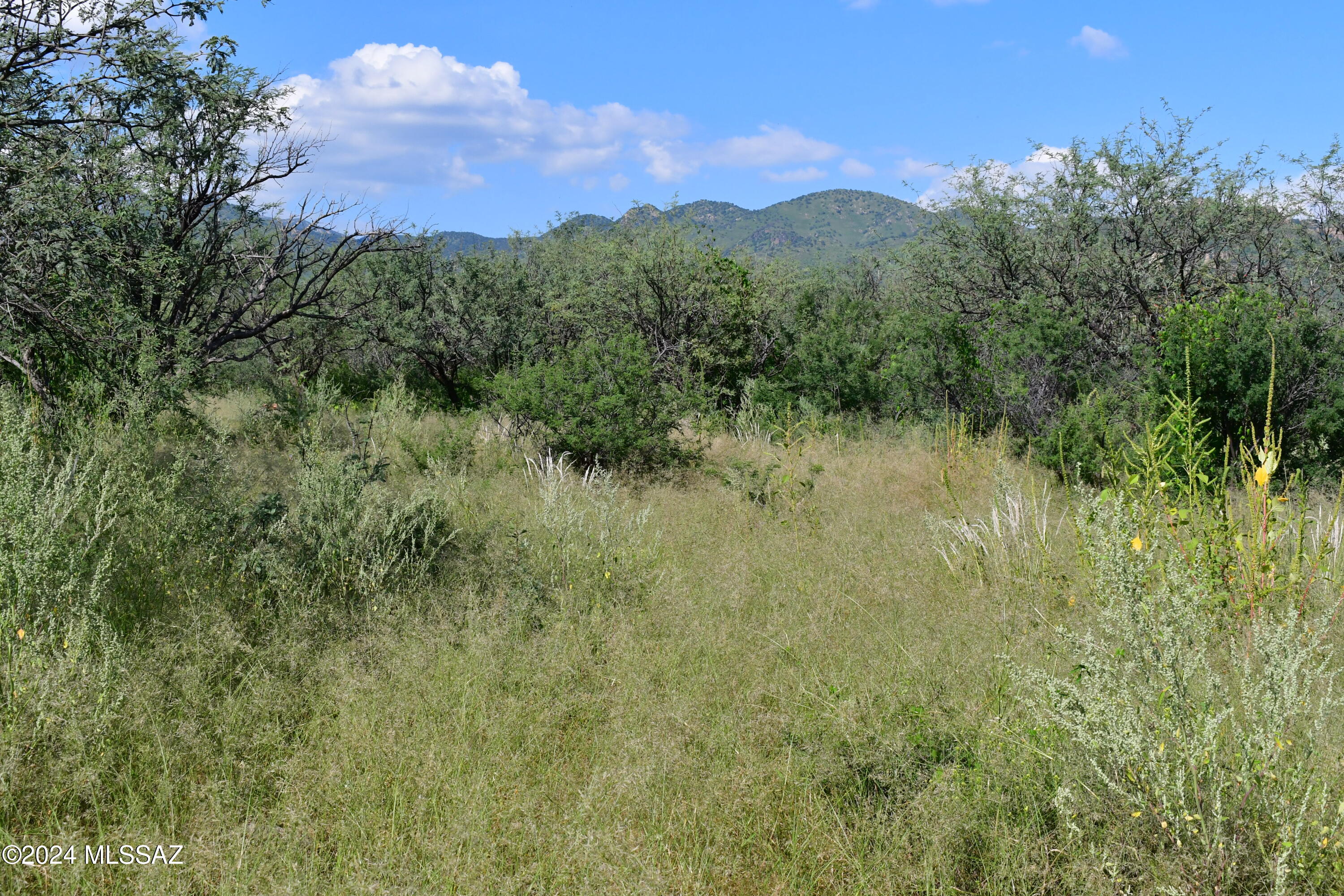 Salero Ranch - Land