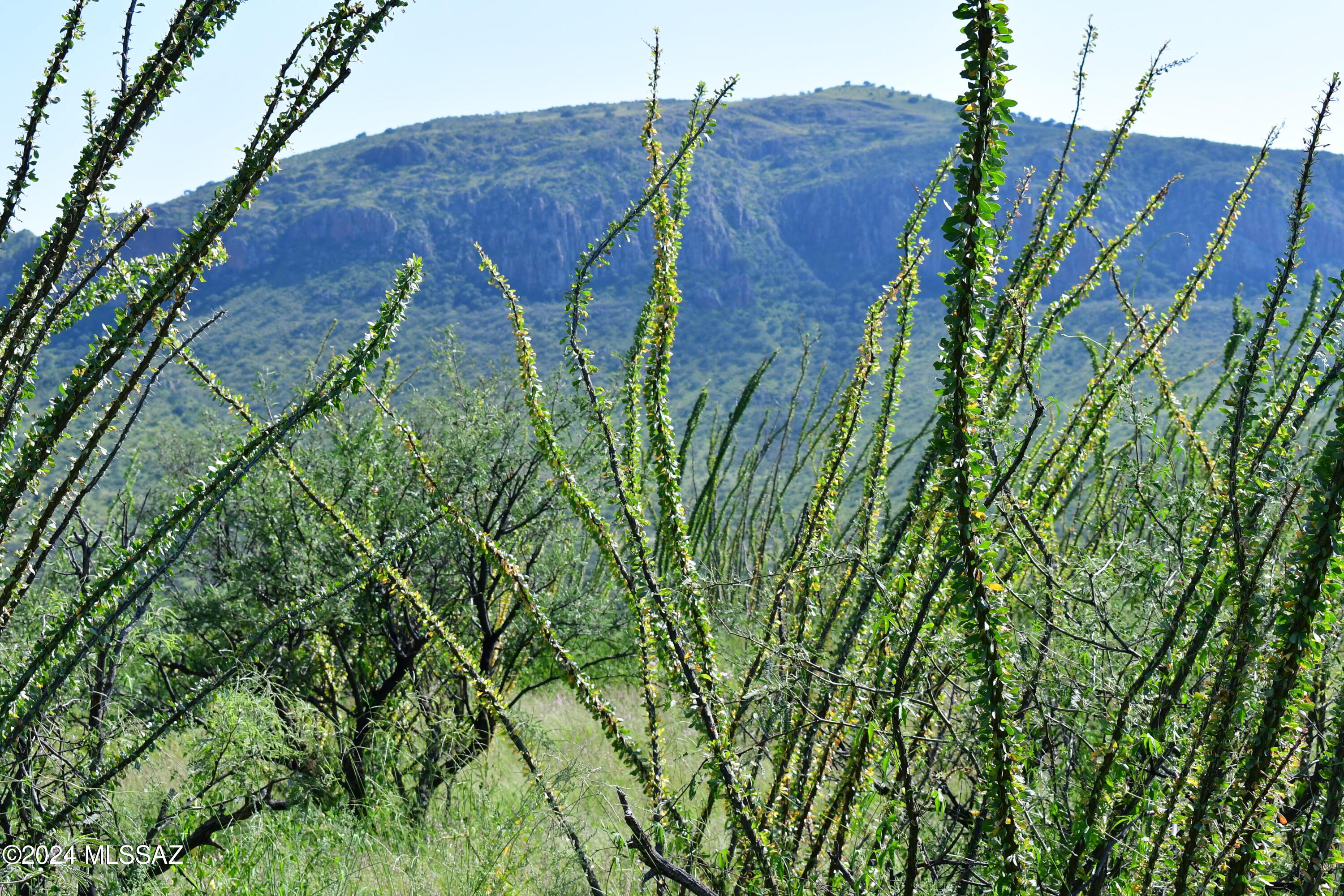 Salero Ranch - Land