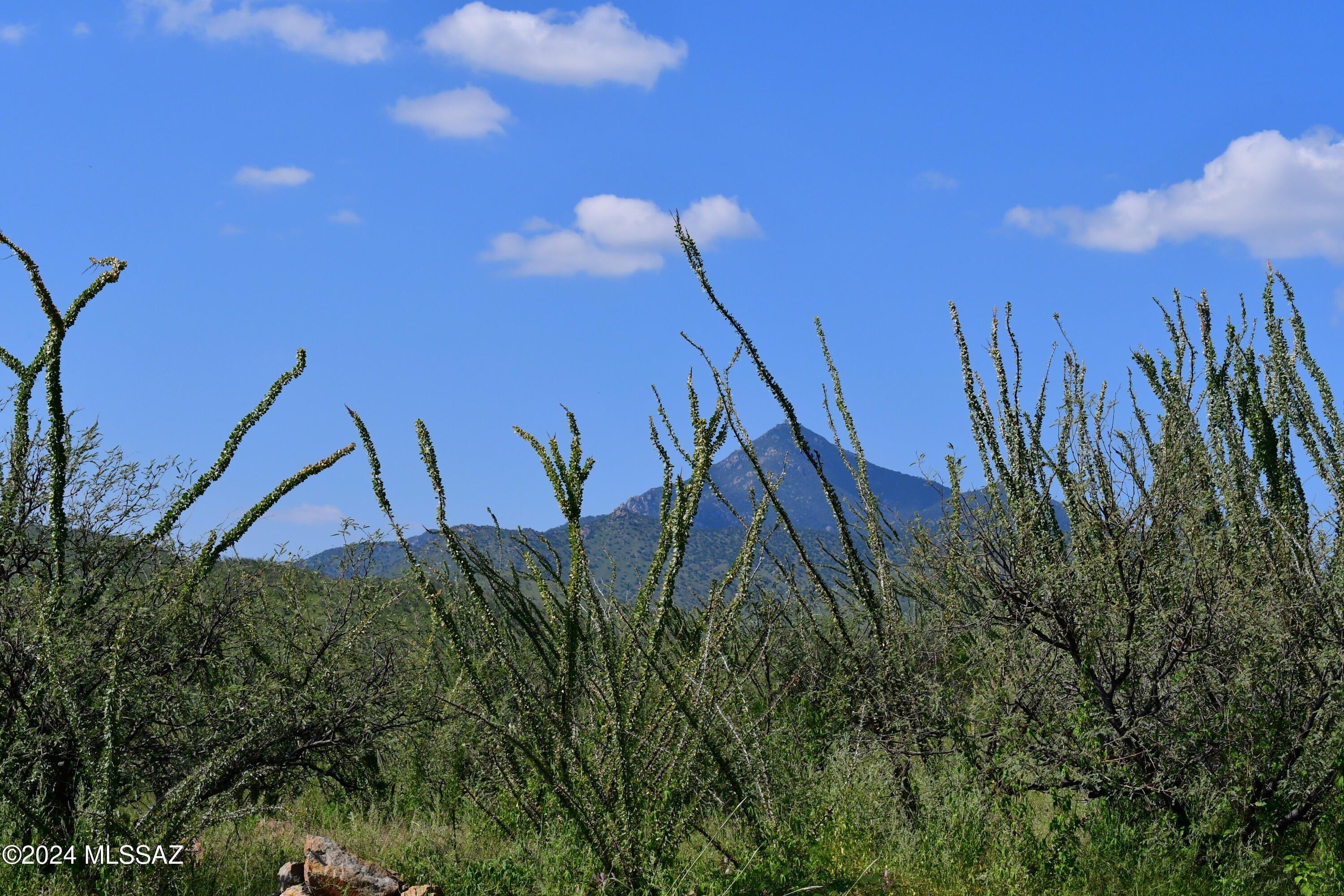 Salero Ranch - Land