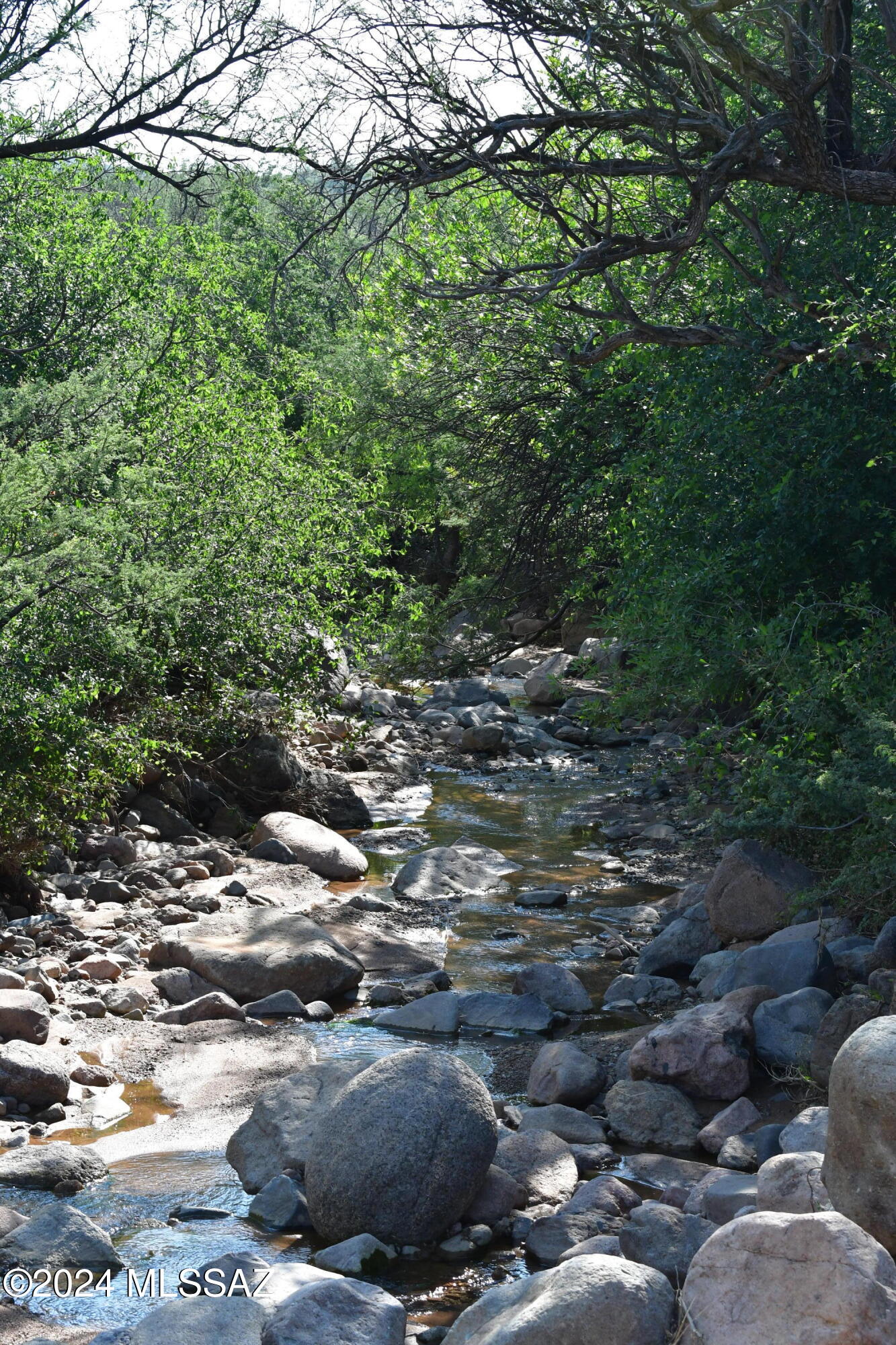 Salero Ranch - Land