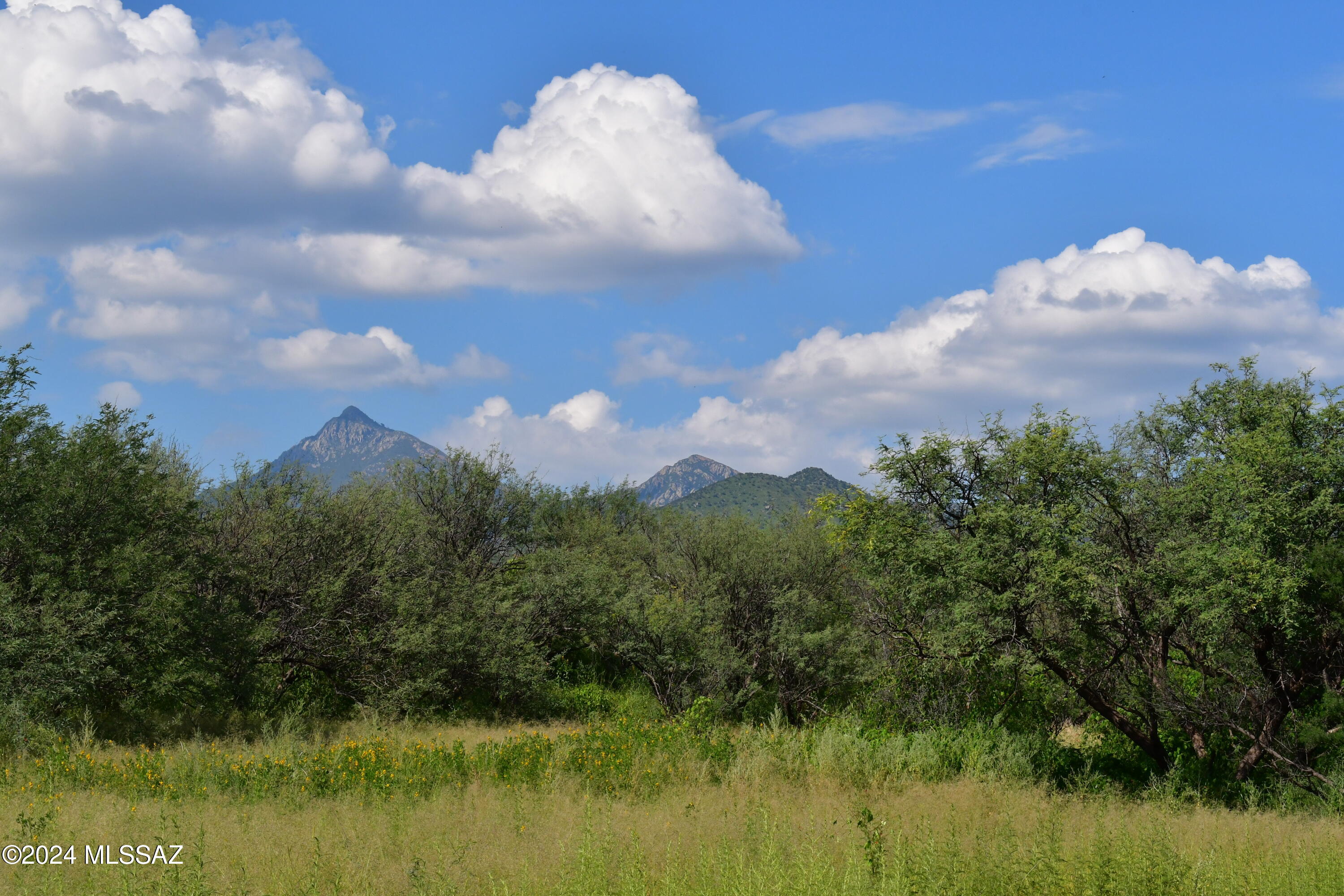 Salero Ranch - Land