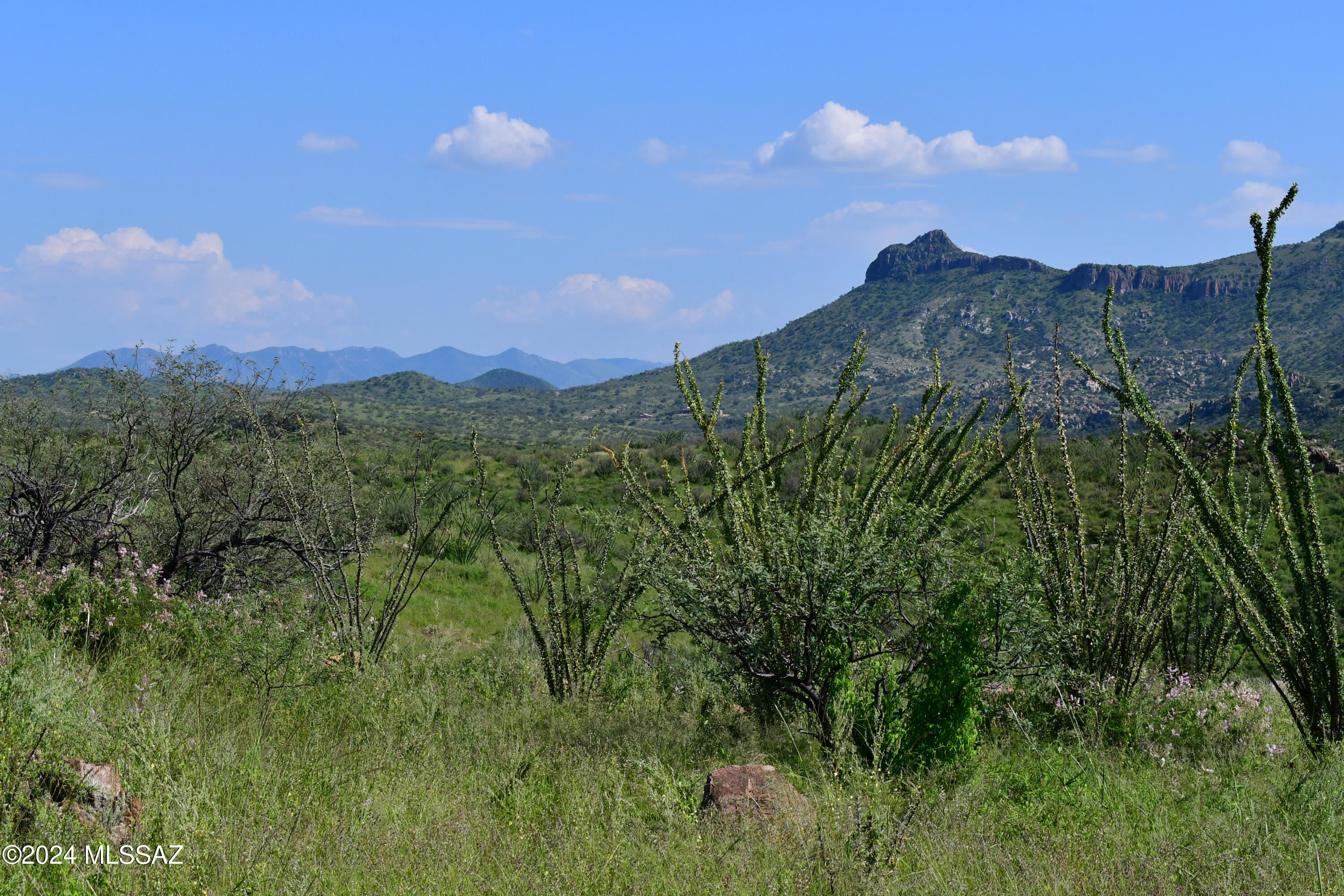 Salero Ranch - Land