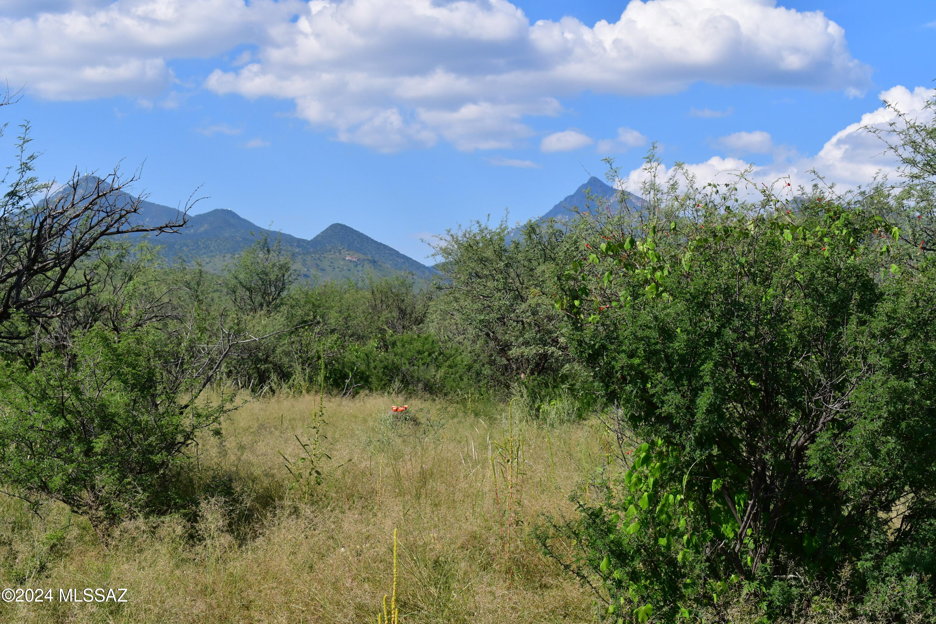 Salero Ranch - Land