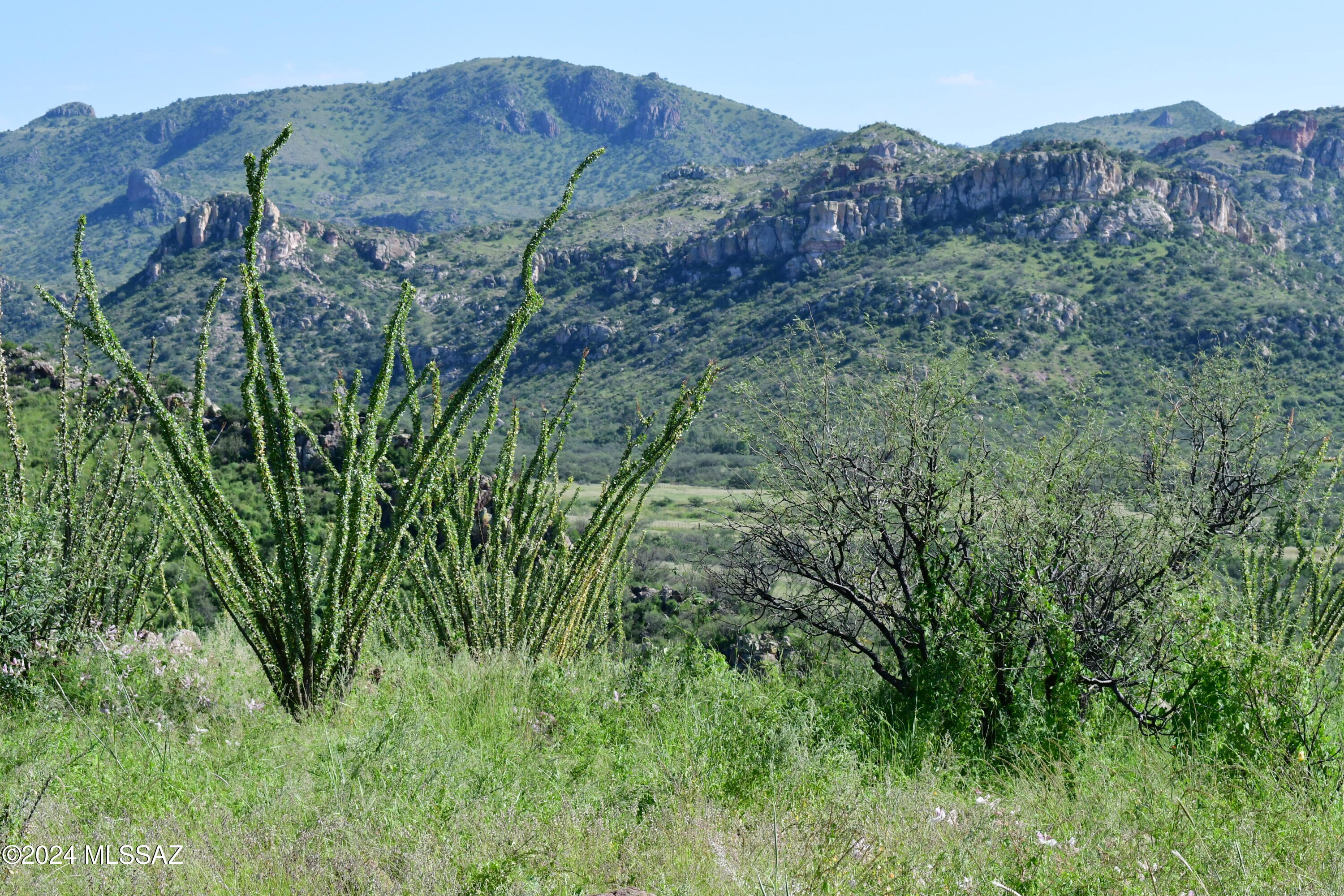 Salero Ranch - Land