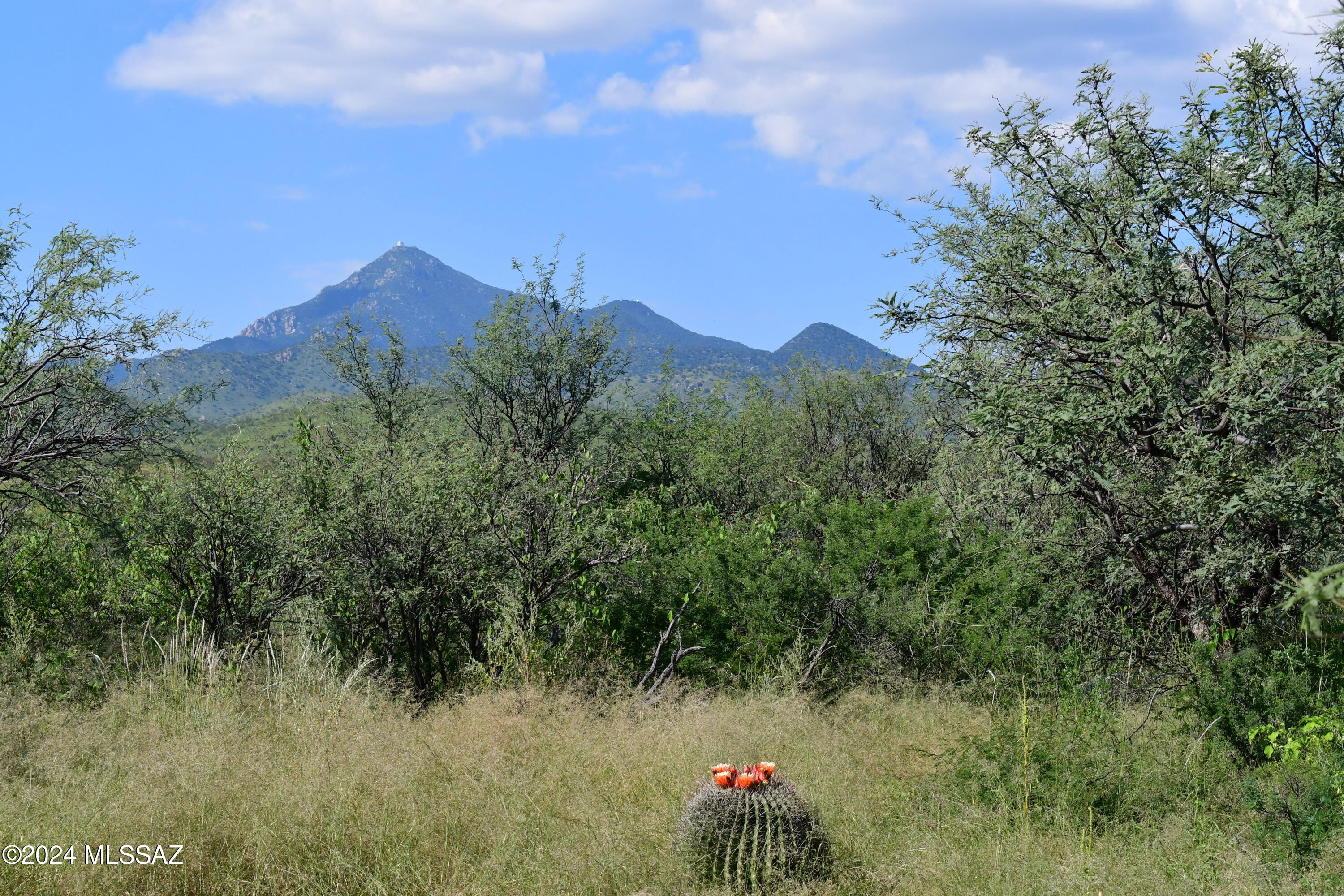Awesome, diverse parcel with hilltop building sites, seasonal creek and wooded riparian area, great access and bordering the ranch headquarters! Light CCR's and underground electric.
