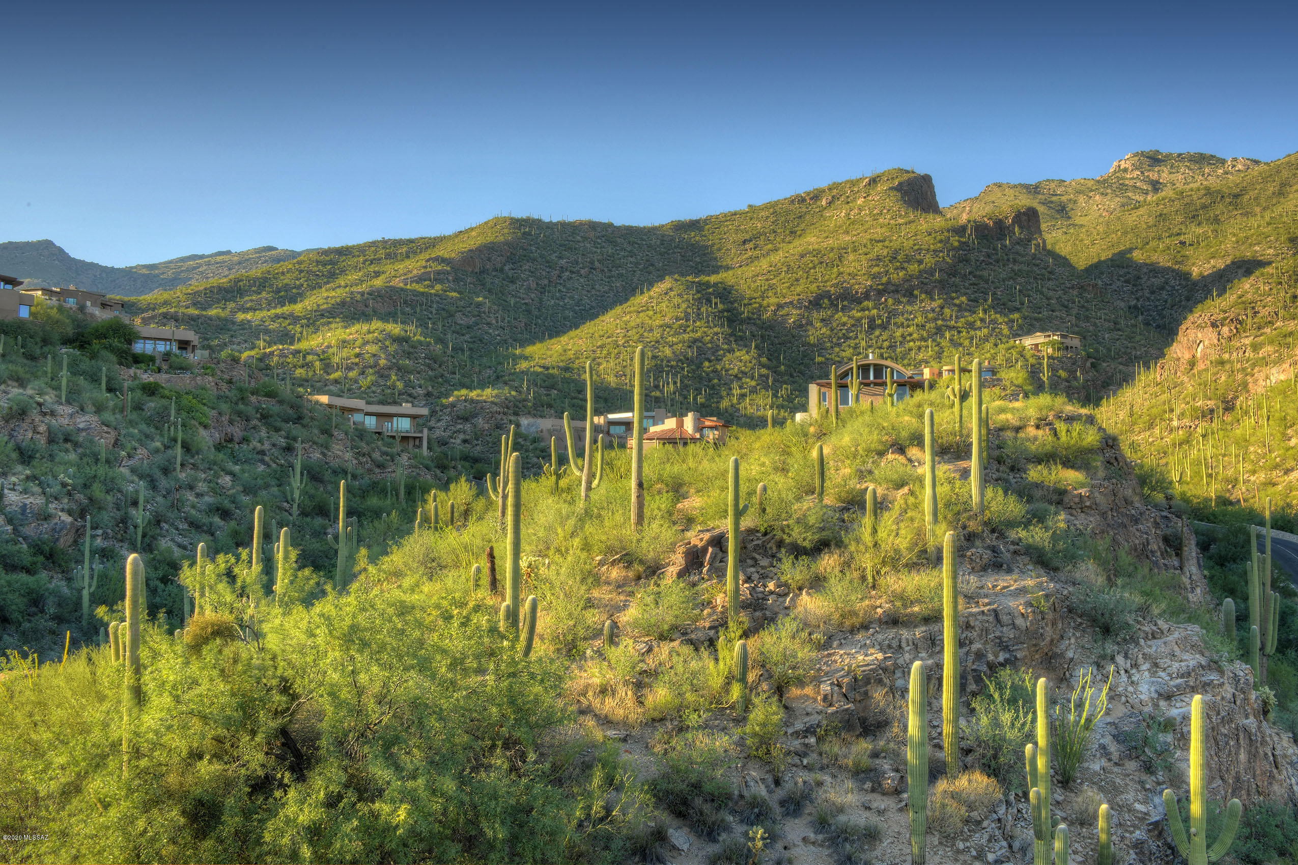 Ventana Canyon Mountain Estate (1-73) - Land