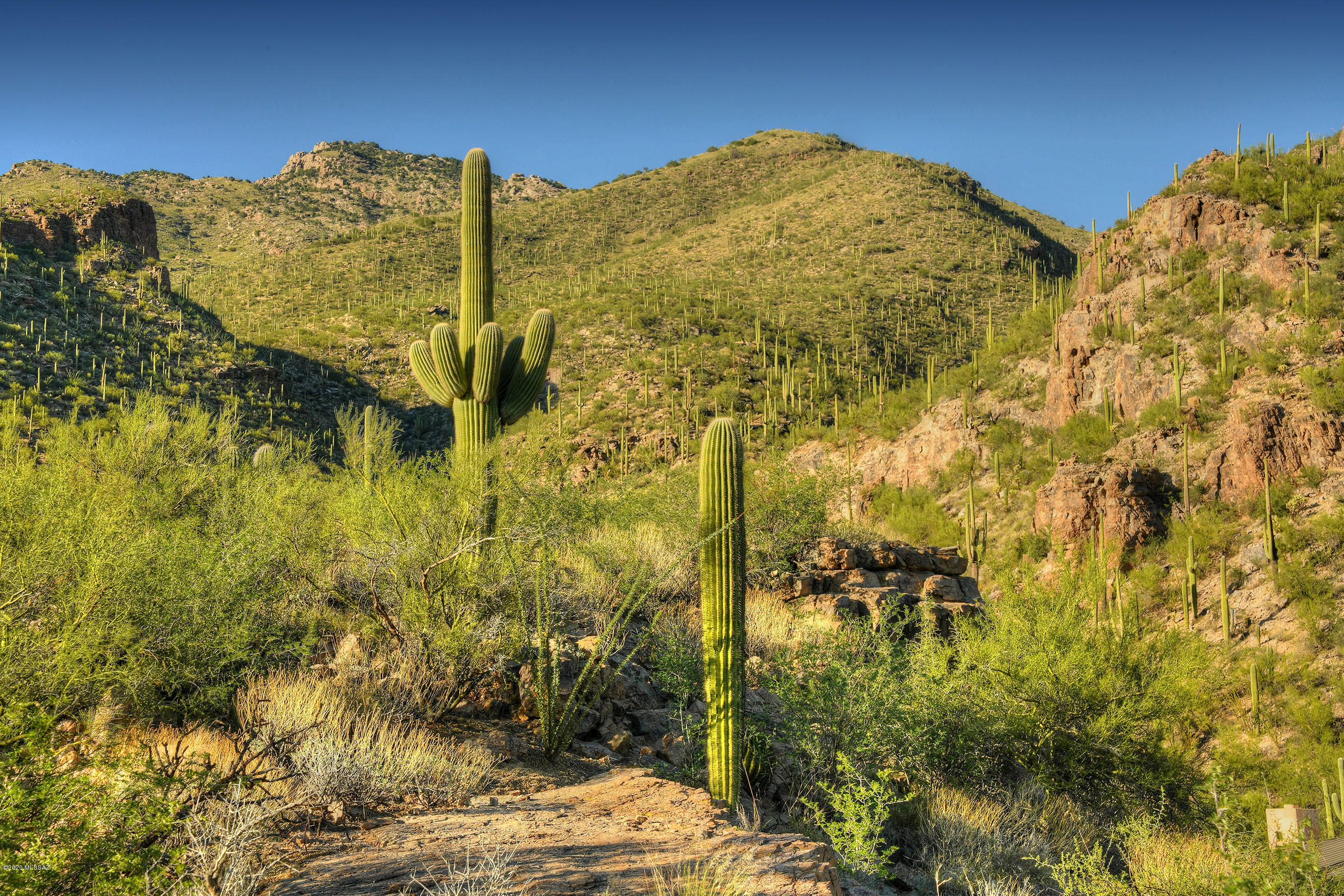 Ventana Canyon Mountain Estate (1-73) - Land