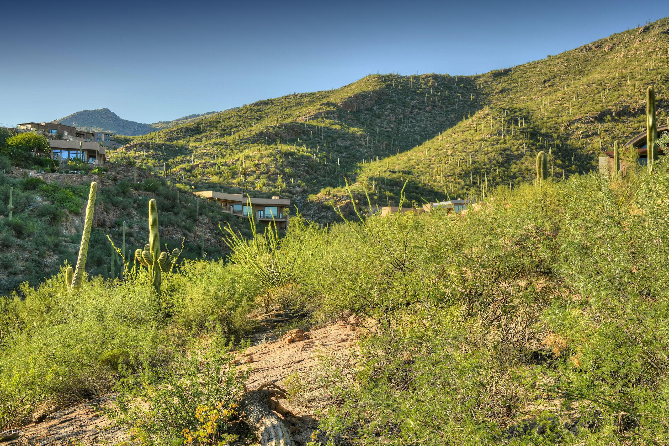 Ventana Canyon Mountain Estate (1-73) - Land