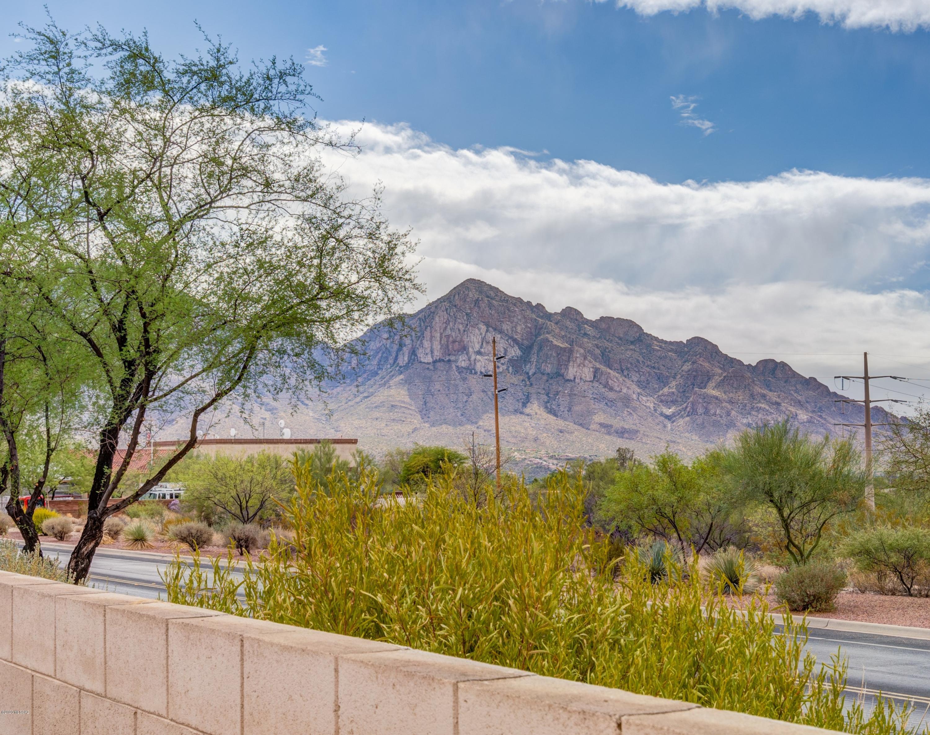 Rancho Vistoso Neighborhood 7 (1-317) - Residential