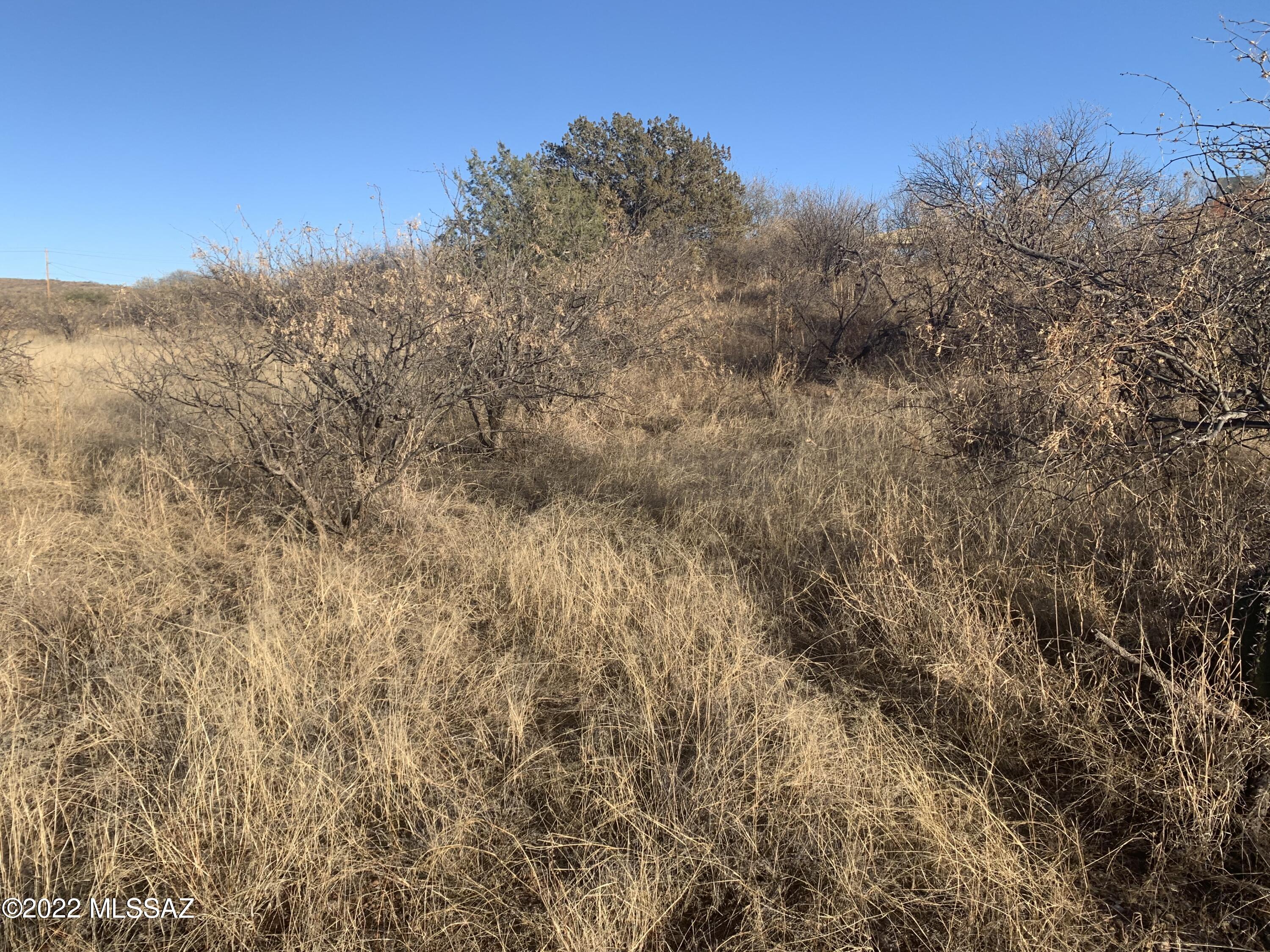 Rio Rico Ranchettes 14 - Land