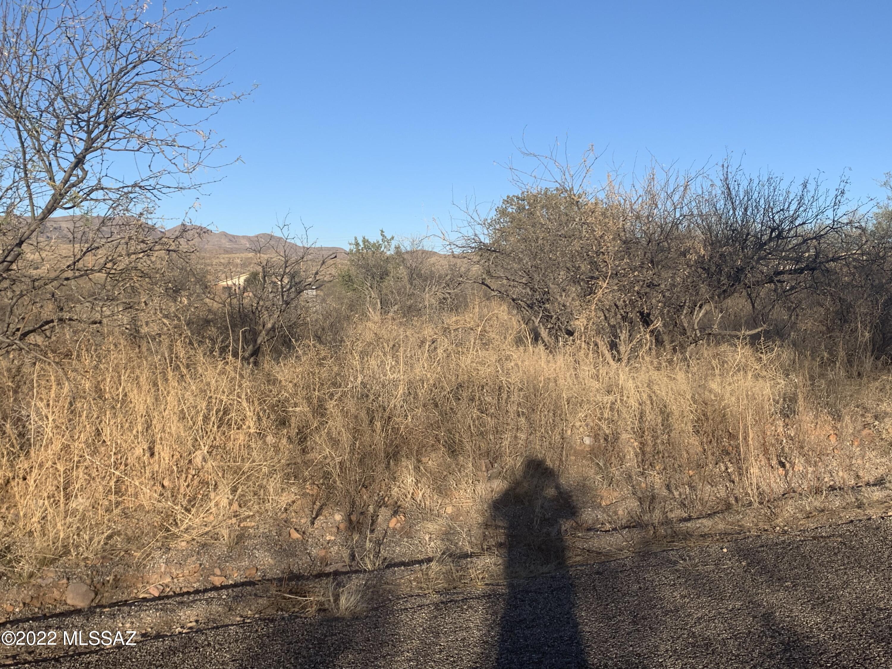 Rio Rico Ranchettes 14 - Land
