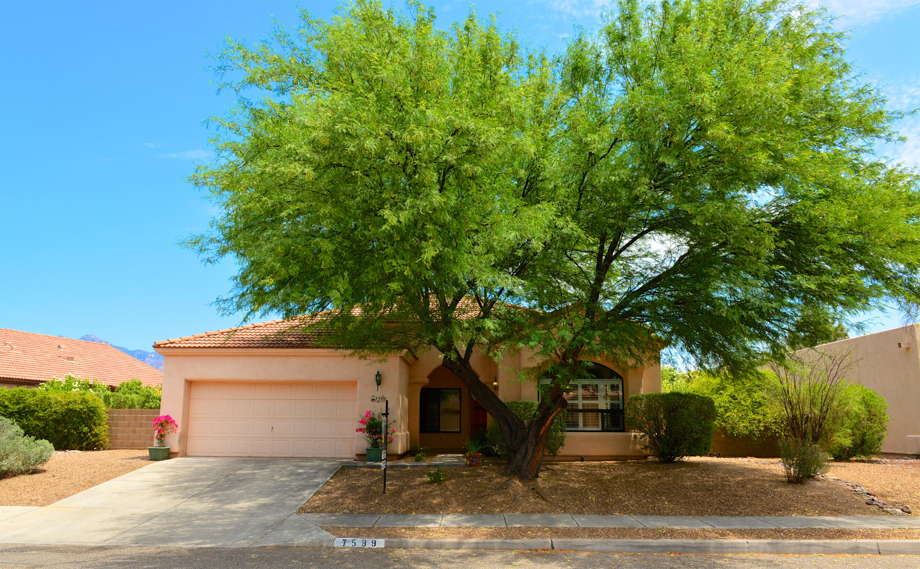 Move in ready - perfect condition! Located in a quiet and secluded neighborhood with no through streets and lots of pride of ownership. Private neighborhood park and access to the River Walk on the Tanque Verde Wash make this area one of the best closed-in NE neighborhood. Near Udall Park, Sabino Canyon, restaurants, medical offices, and shopping. 3BR plus Den -  could easily be converted to 4 BR, 2 full bath. Spacious.  Upgrades include: oversize floor tile, plantation shutters, tile rear patio with peeled pine posts, newly painted garage with epoxy coated floors, and much more... One other thing, there is an additional double-oven which makes for a total of 3 ovens in the kitchen.