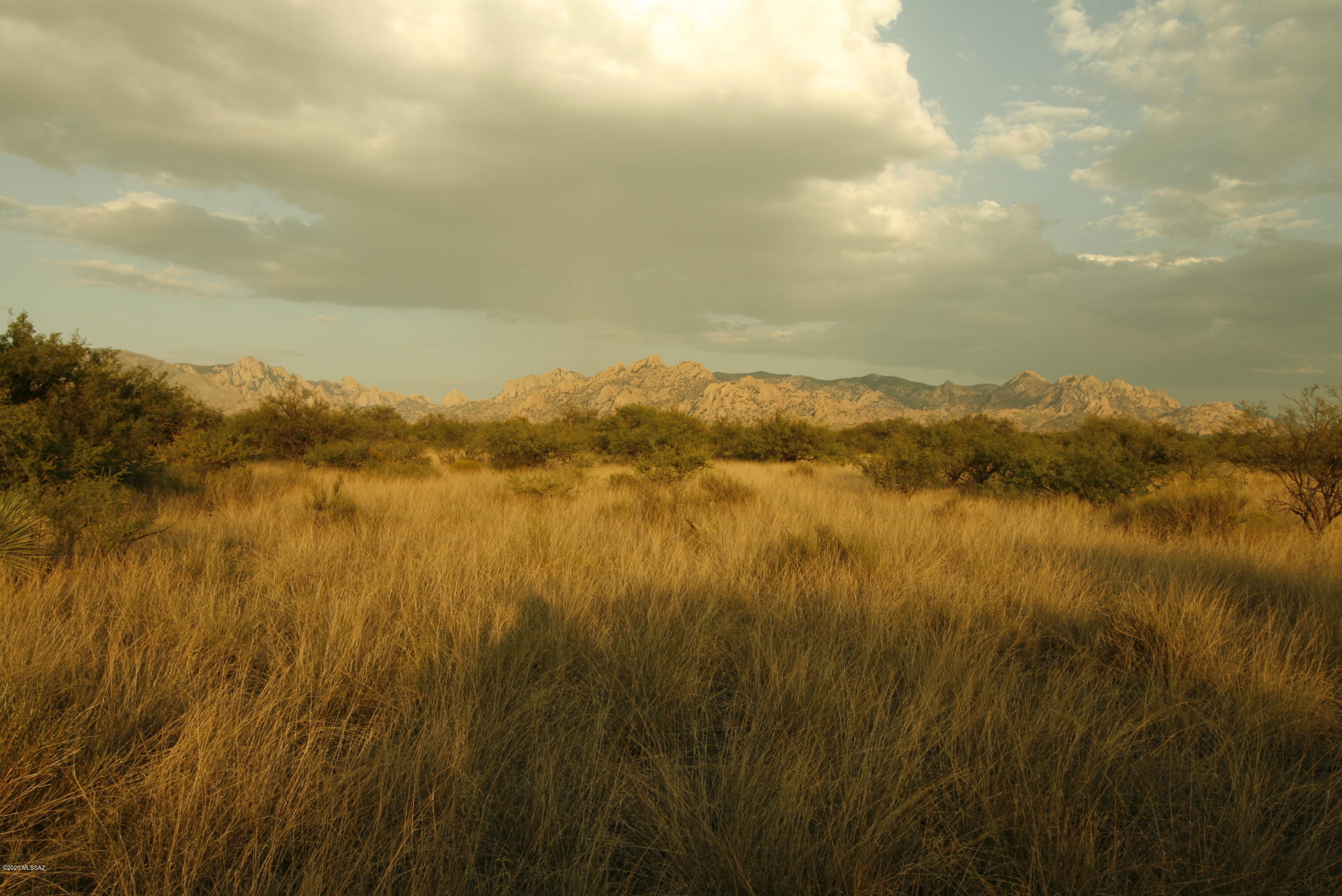 Dragoon Mountain Ranch - Land