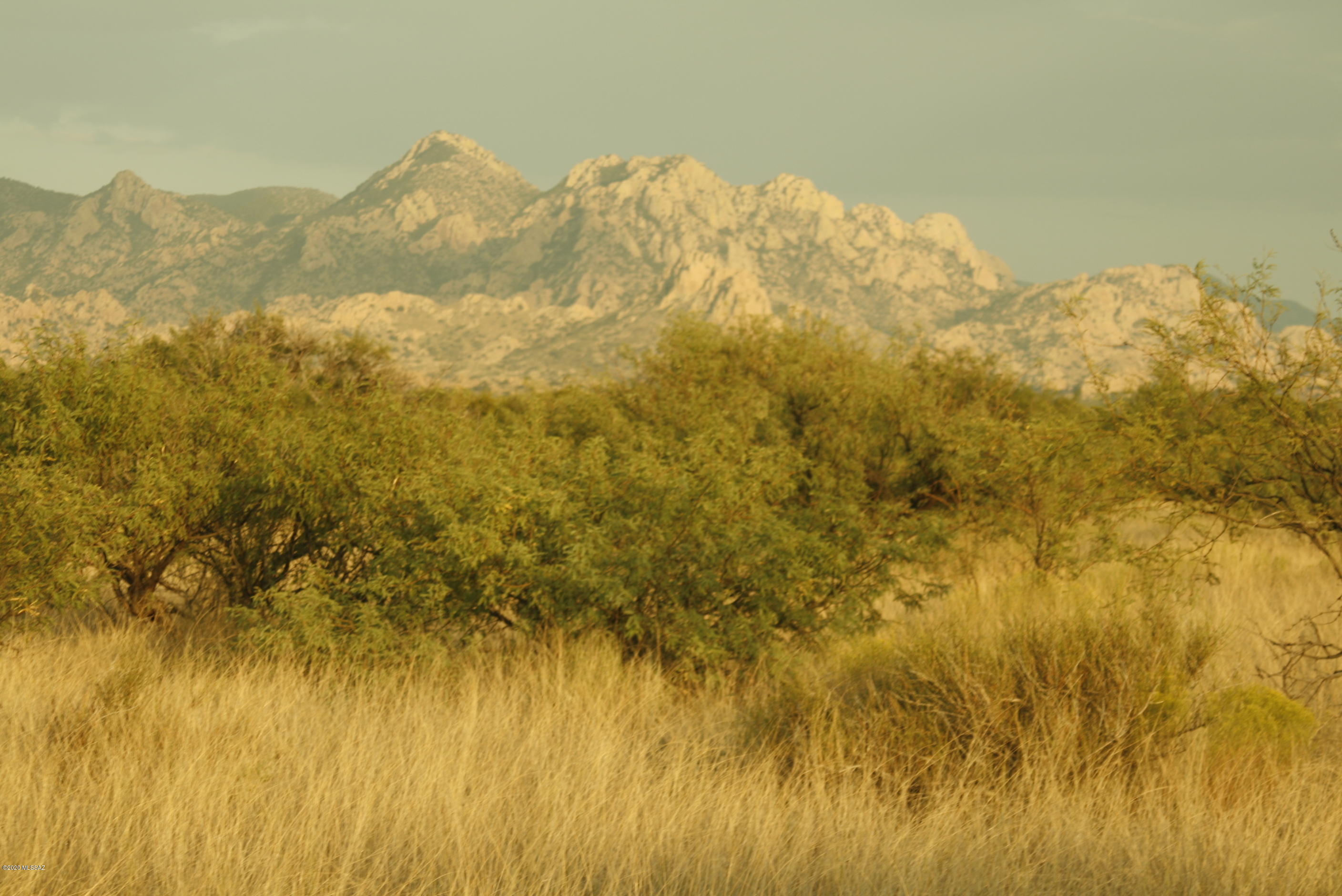Dragoon Mountain Ranch - Land