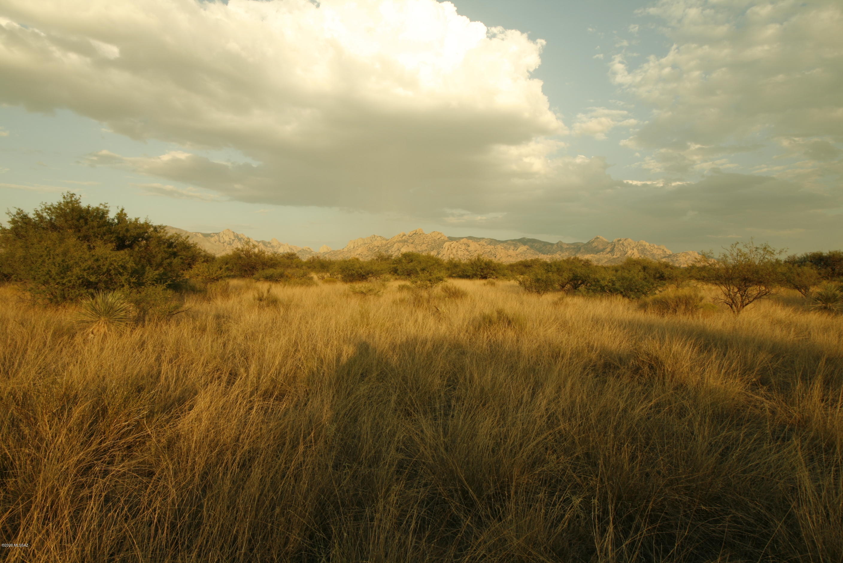 Dragoon Mountain Ranch - Land