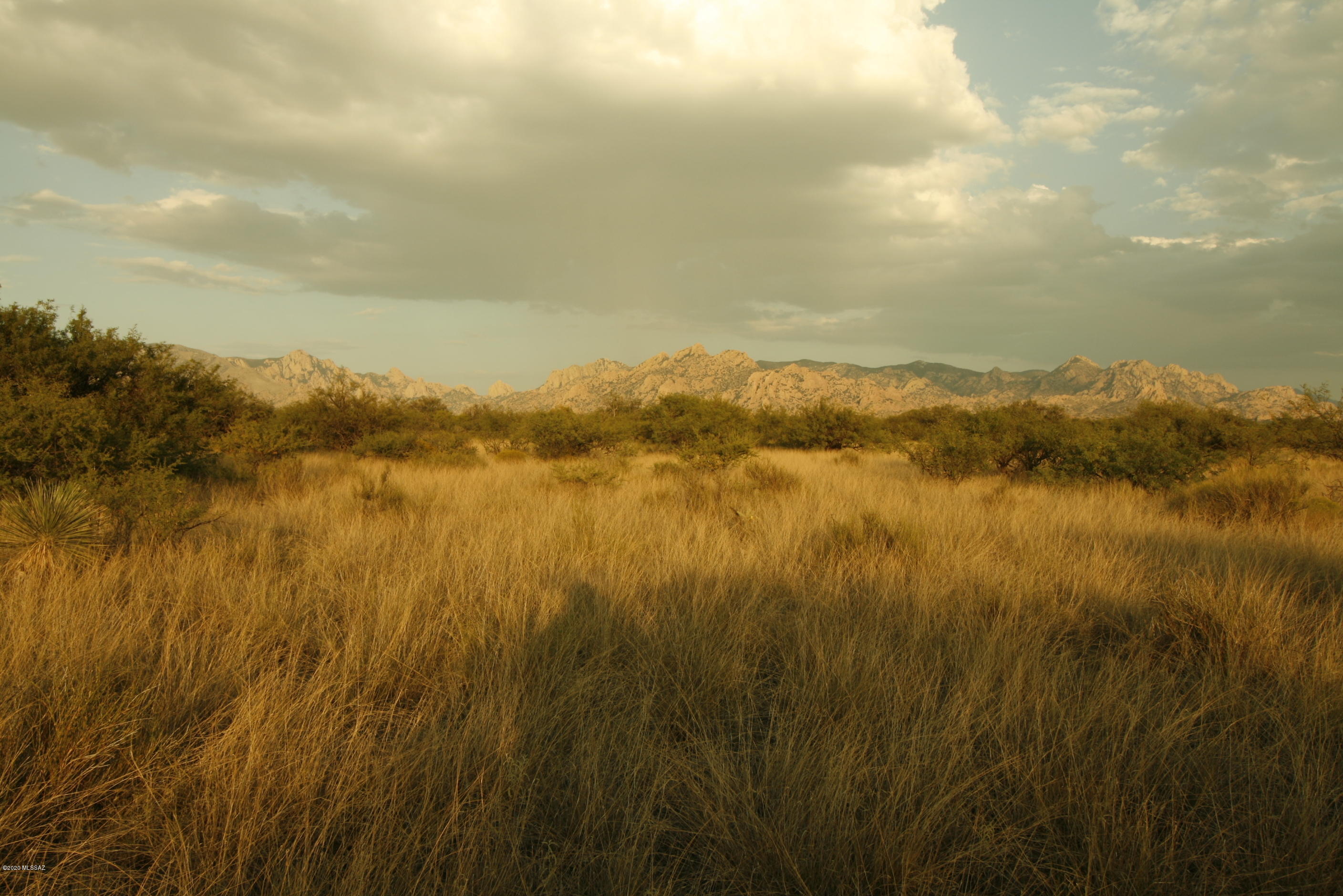 Dragoon Mountain Ranch - Land