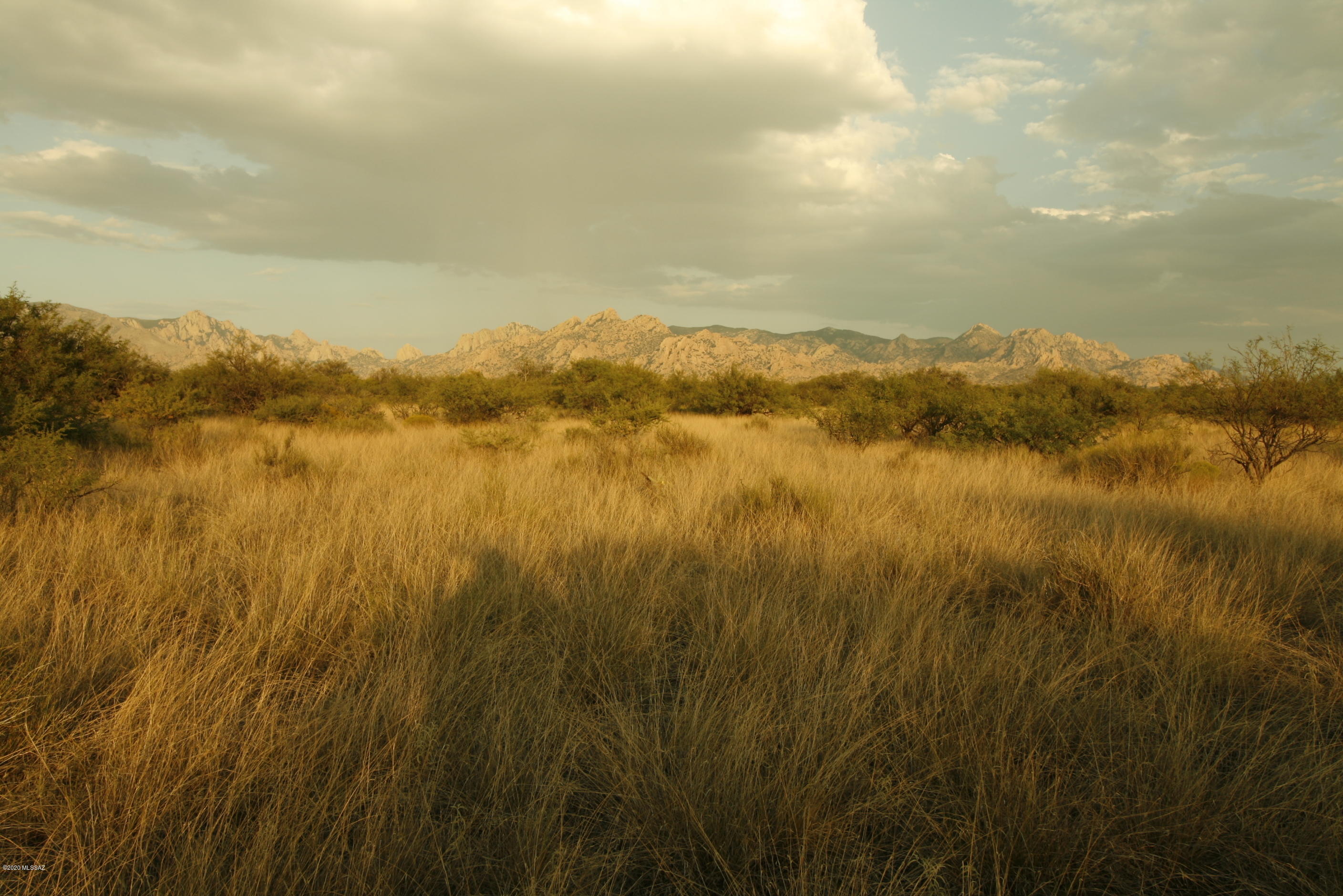 Dragoon Mountain Ranch - Land