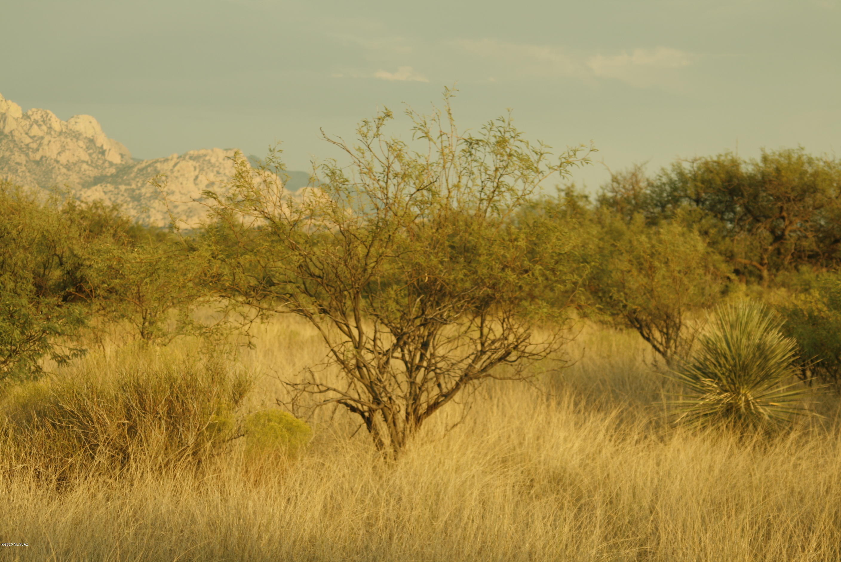 Dragoon Mountain Ranch - Land