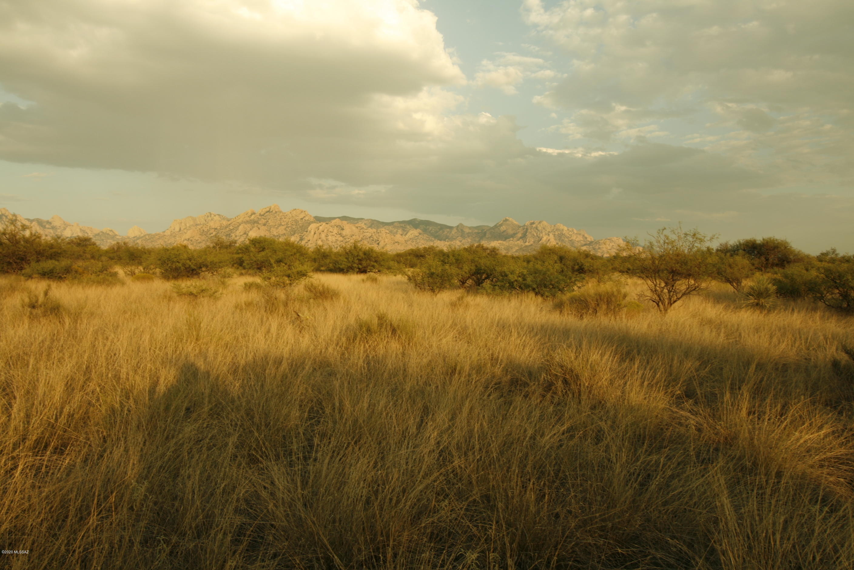 Dragoon Mountain Ranch - Land