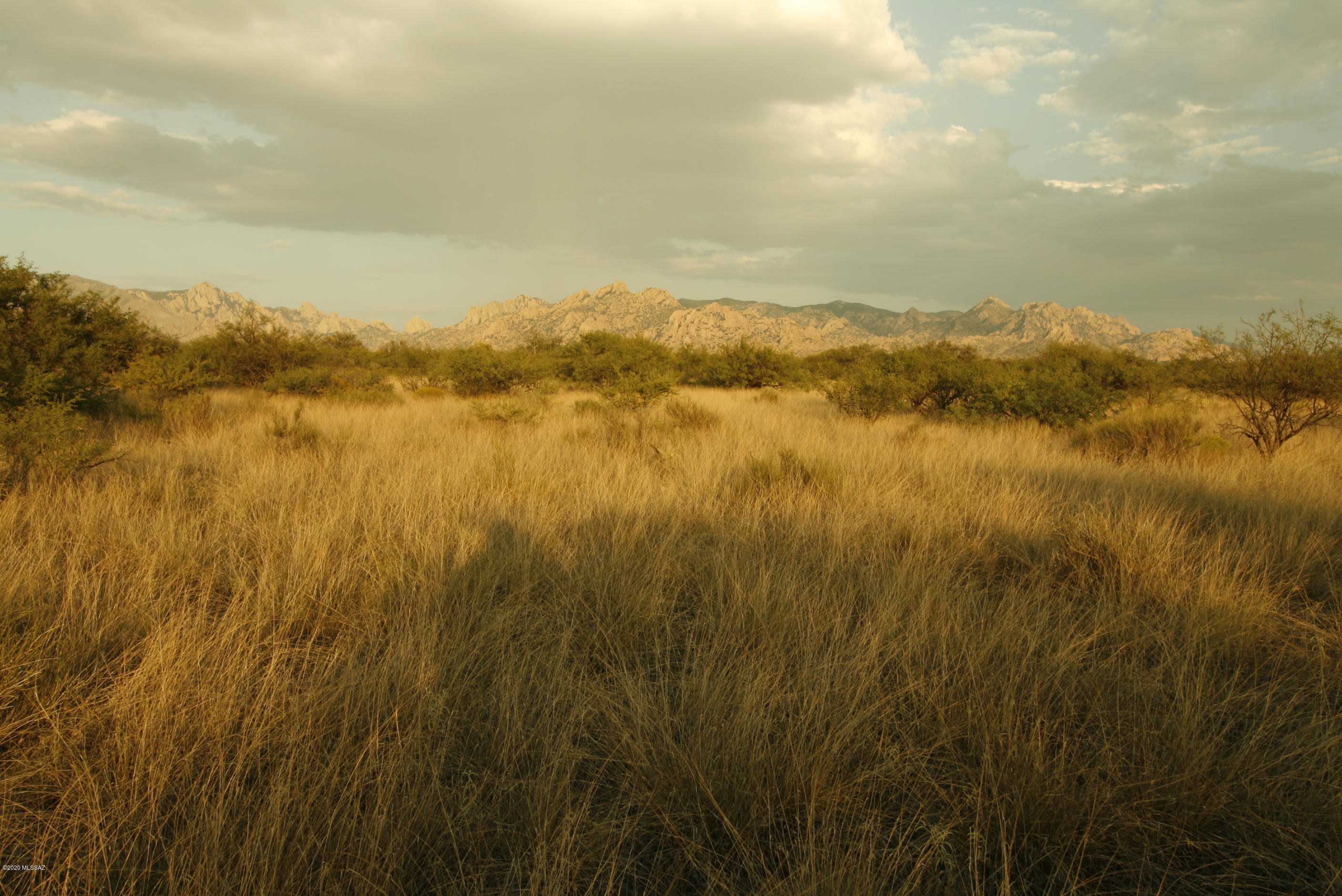 Dragoon Mountain Ranch - Land