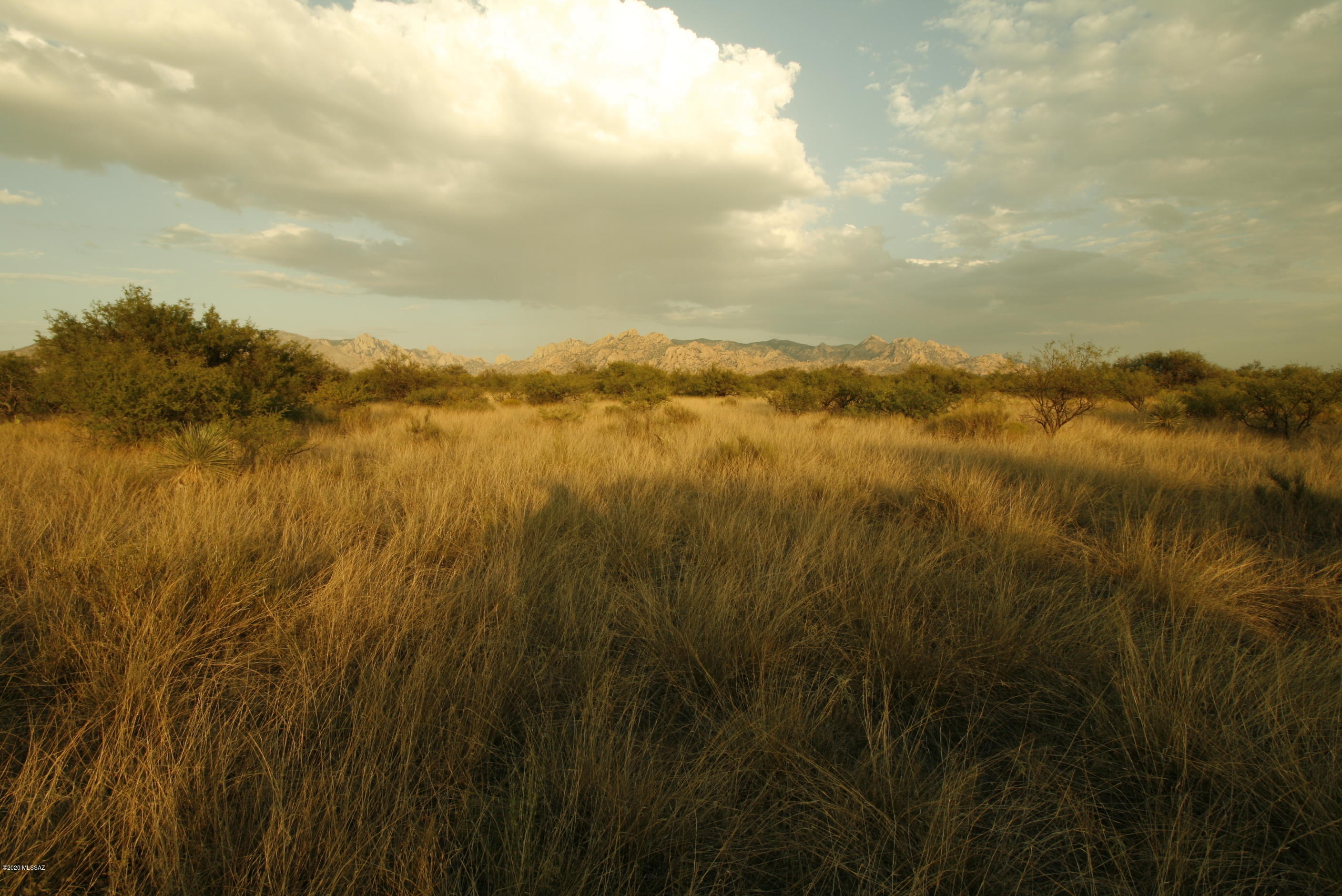 Dragoon Mountain Ranch - Land