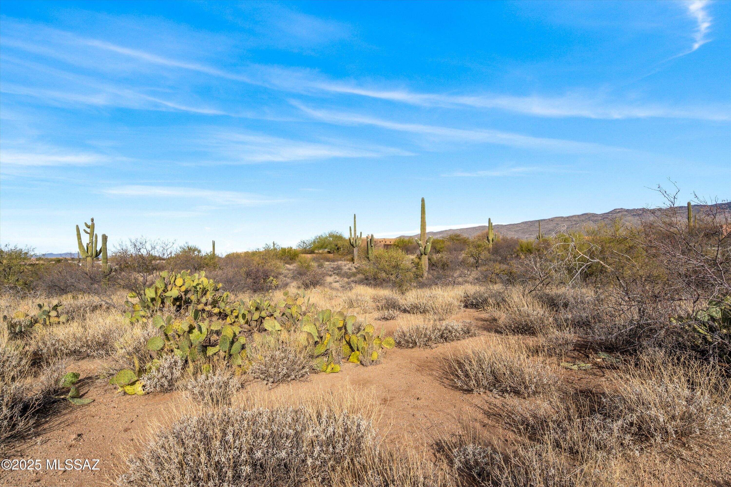 Coyote Creek (1-395) - Land