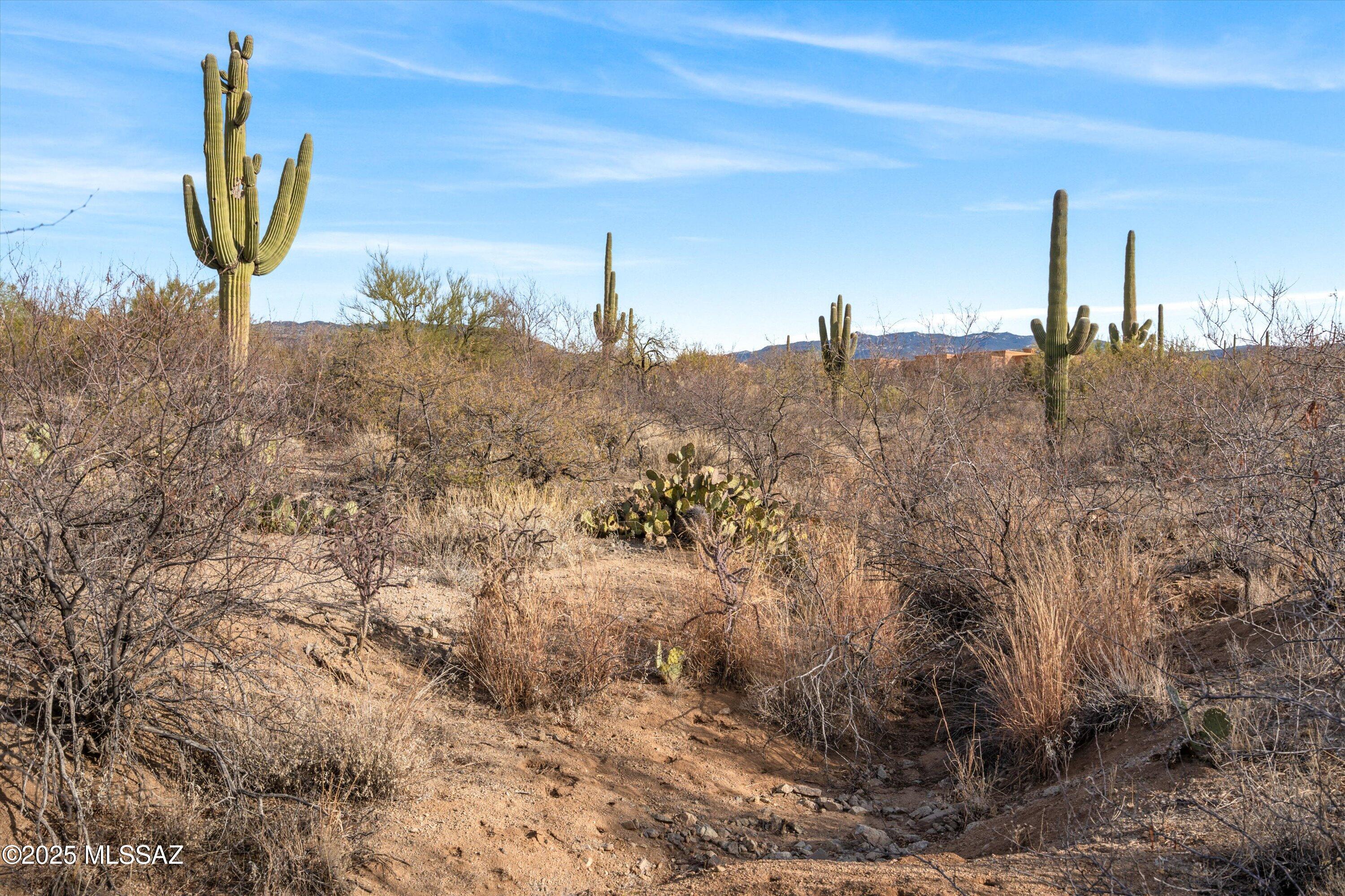 Coyote Creek (1-395) - Land