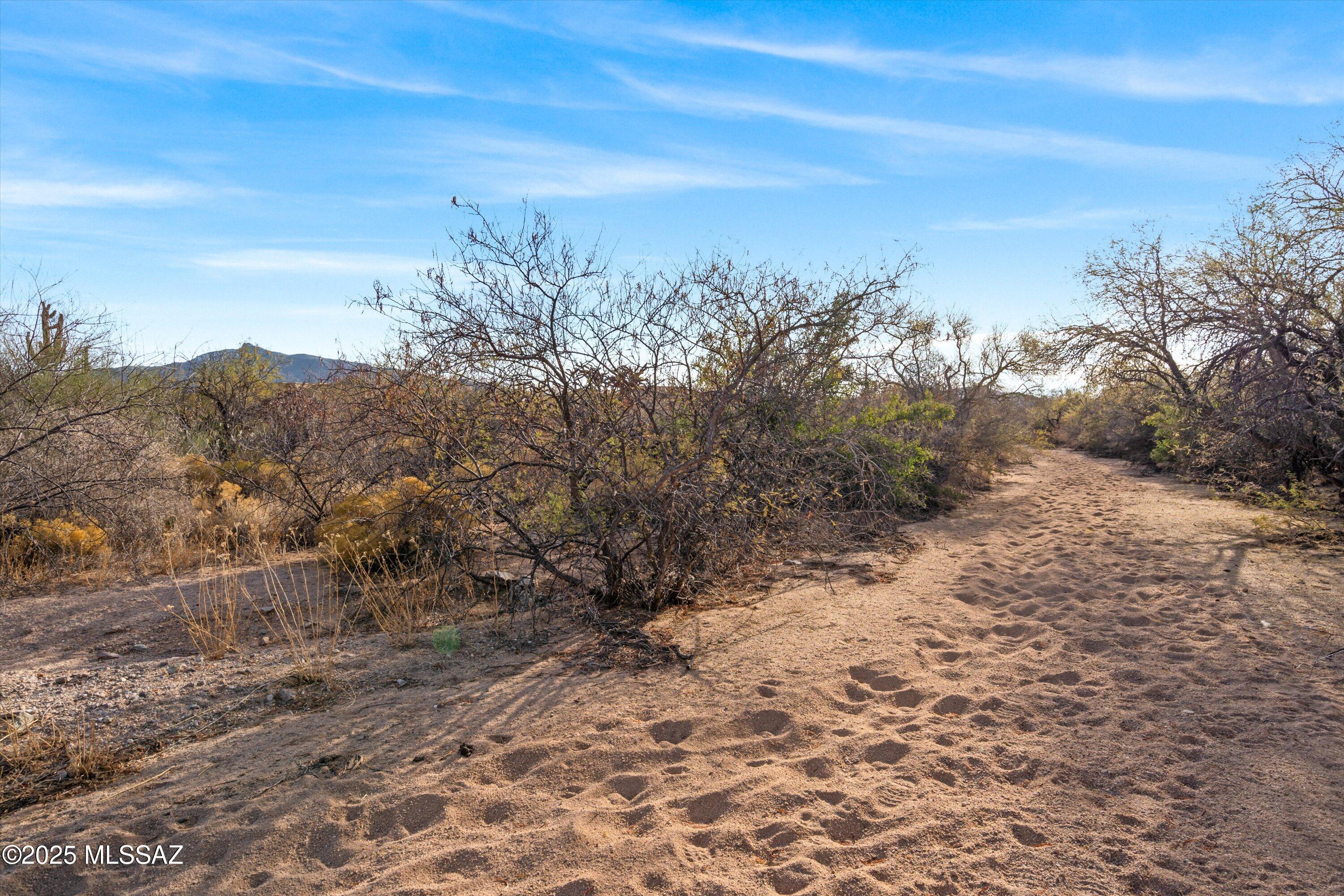 Coyote Creek (1-395) - Land