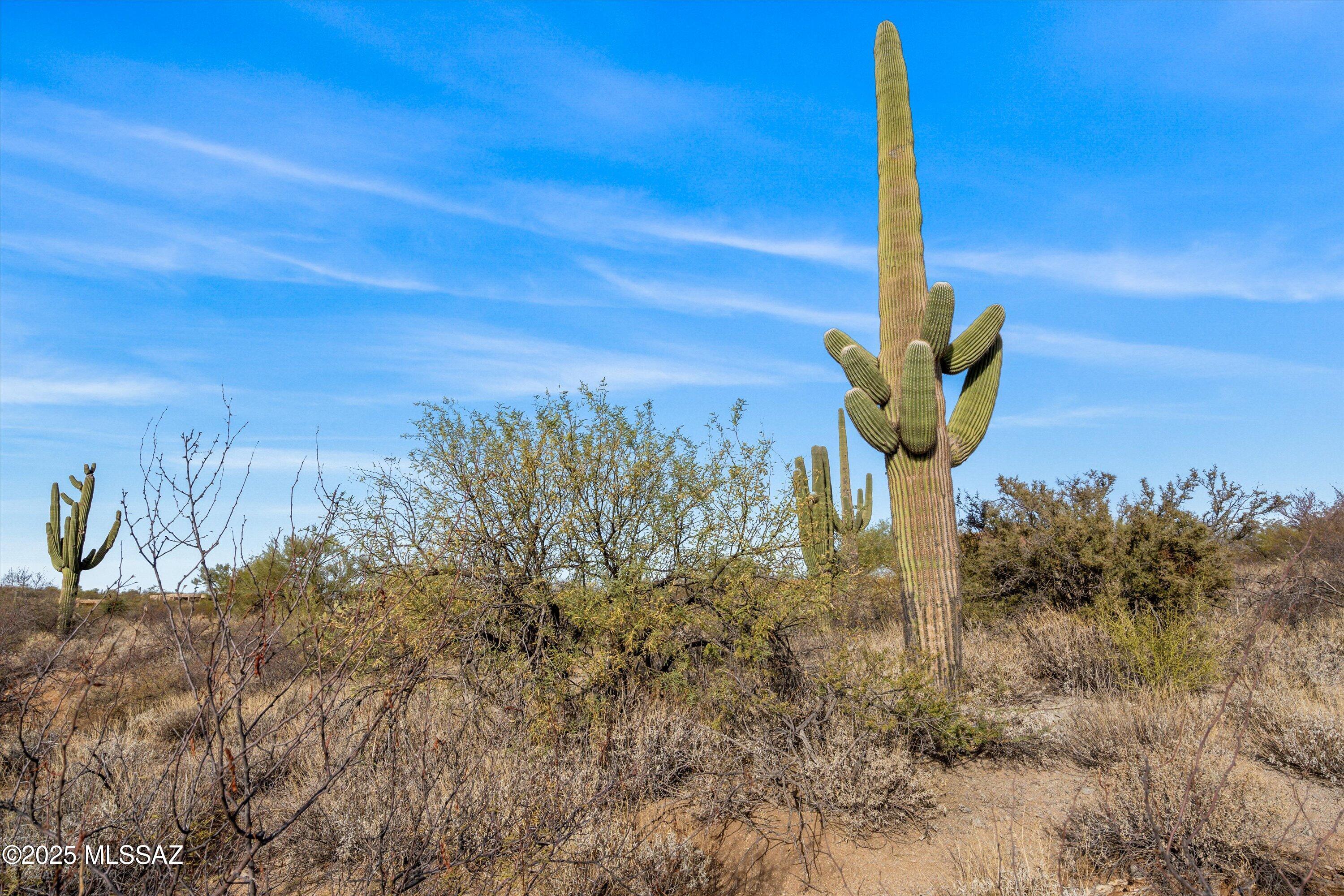 Coyote Creek (1-395) - Land