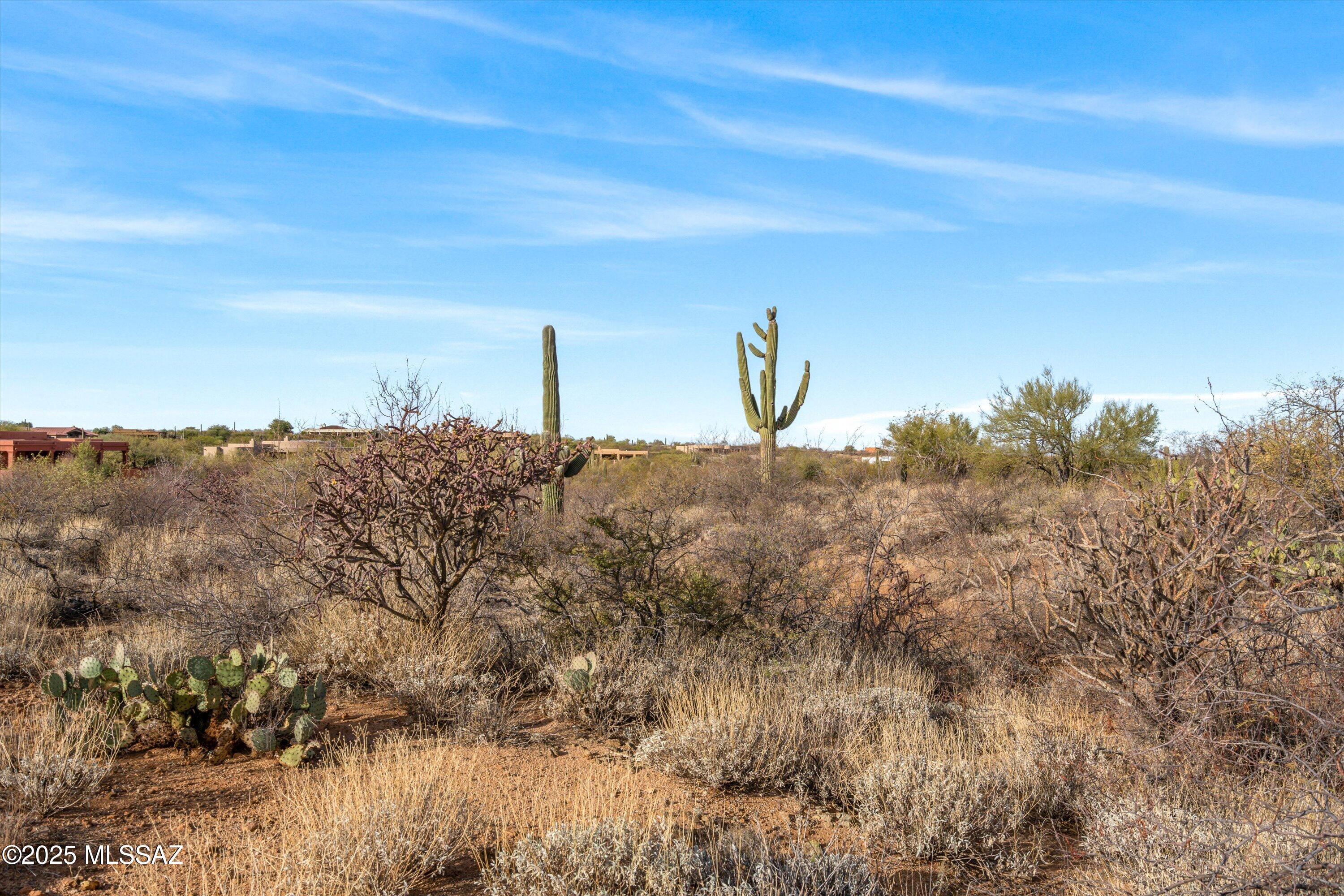 Coyote Creek (1-395) - Land