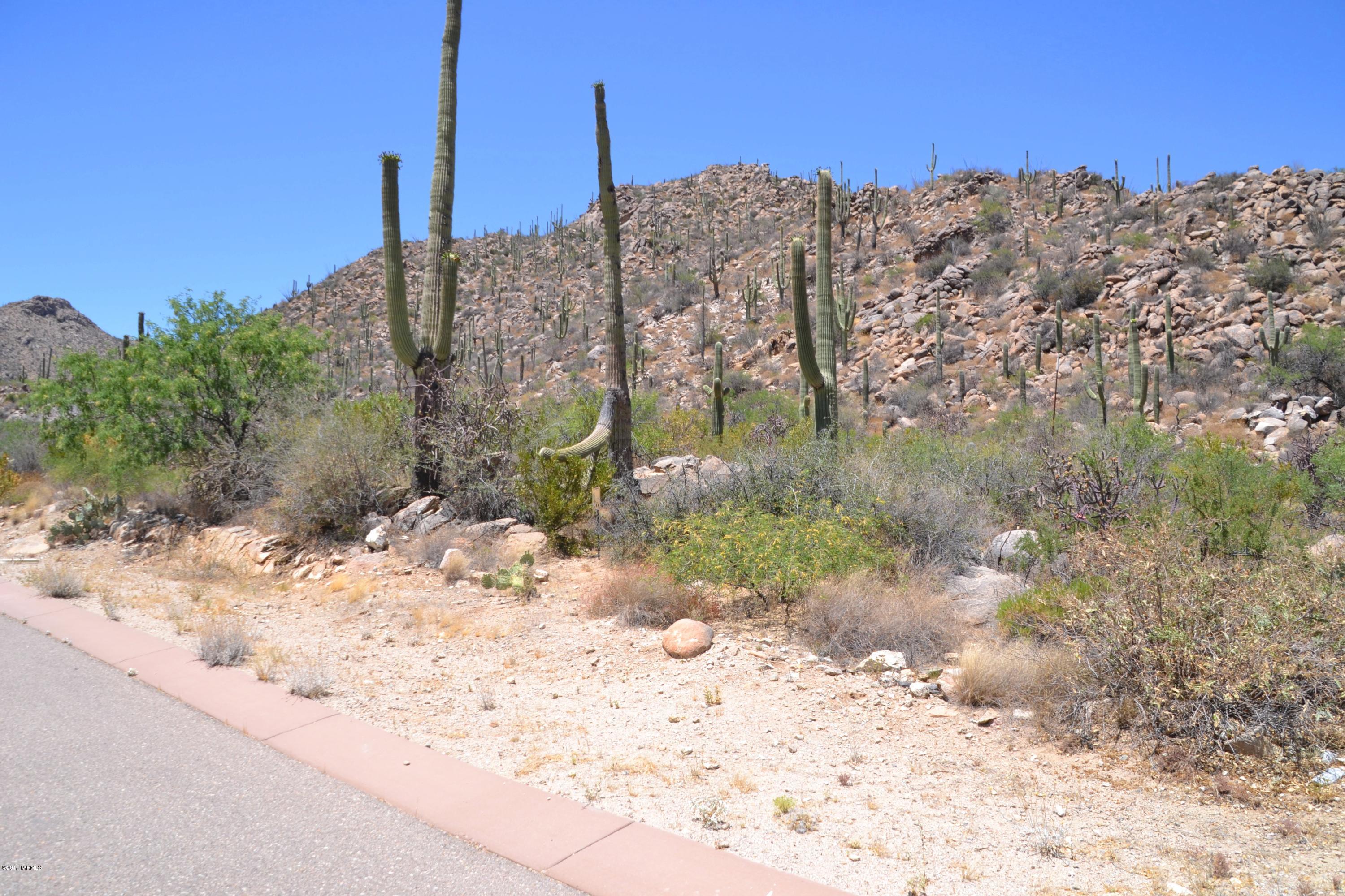 Canyon Pass V At Dove Mountain (280-331) - Land