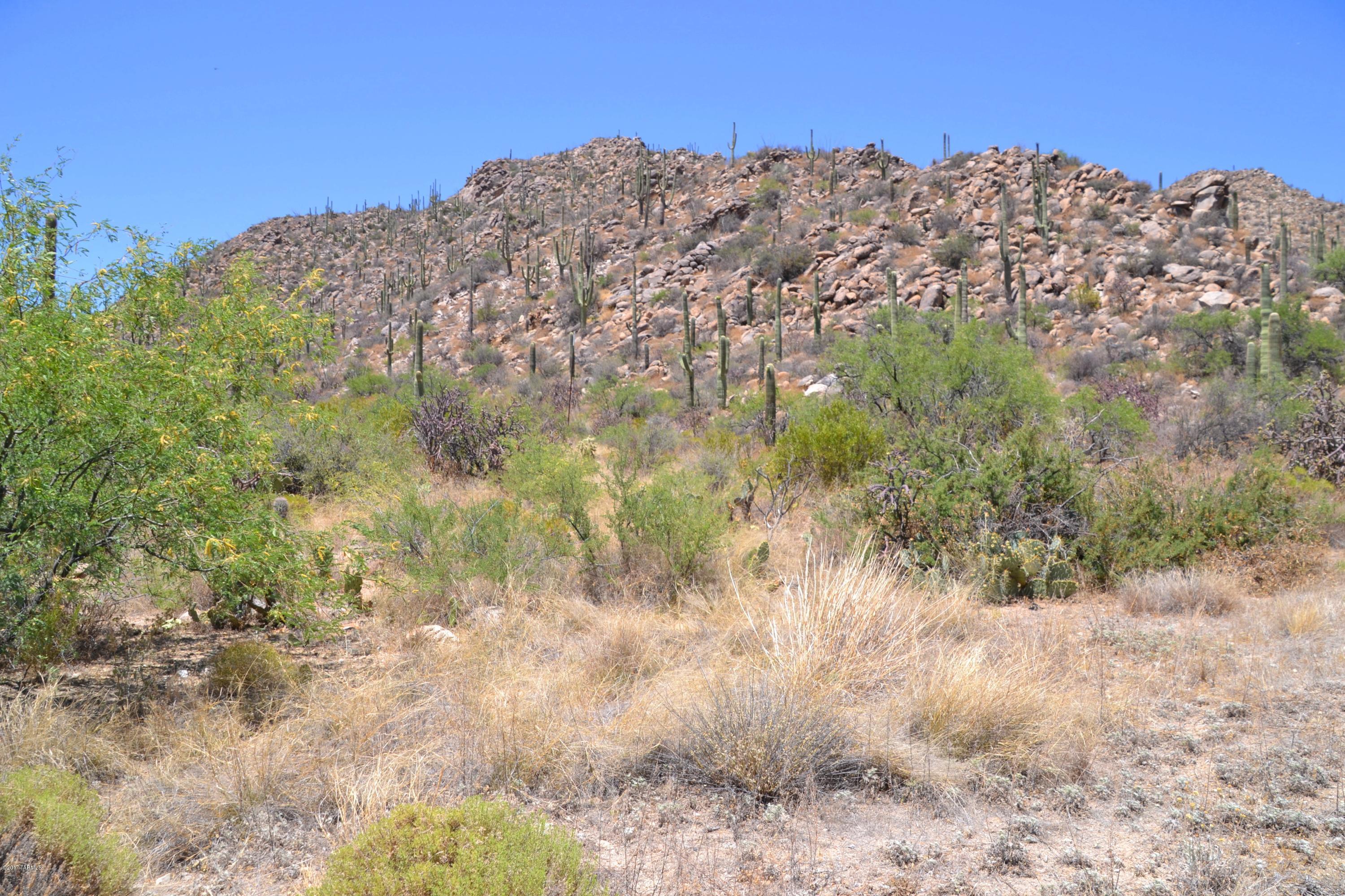 Canyon Pass V At Dove Mountain (280-331) - Land