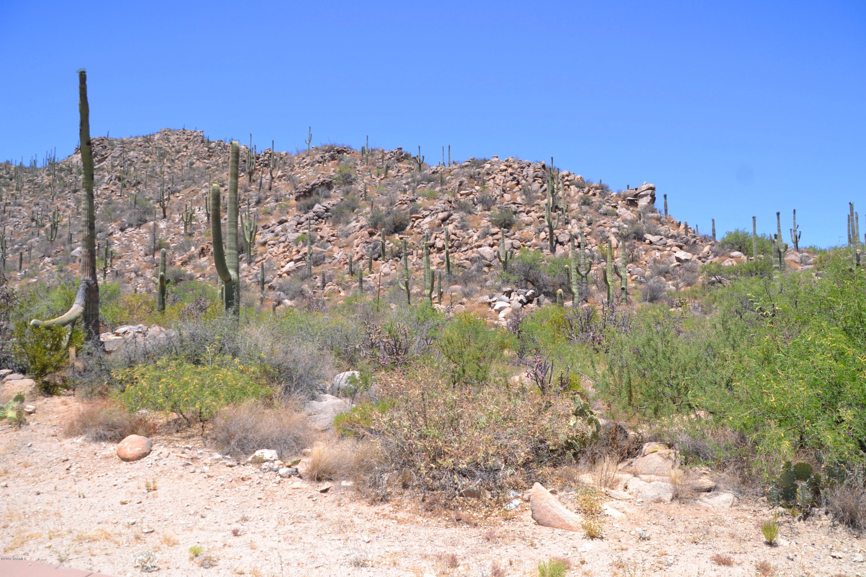 Canyon Pass V At Dove Mountain (280-331) - Land