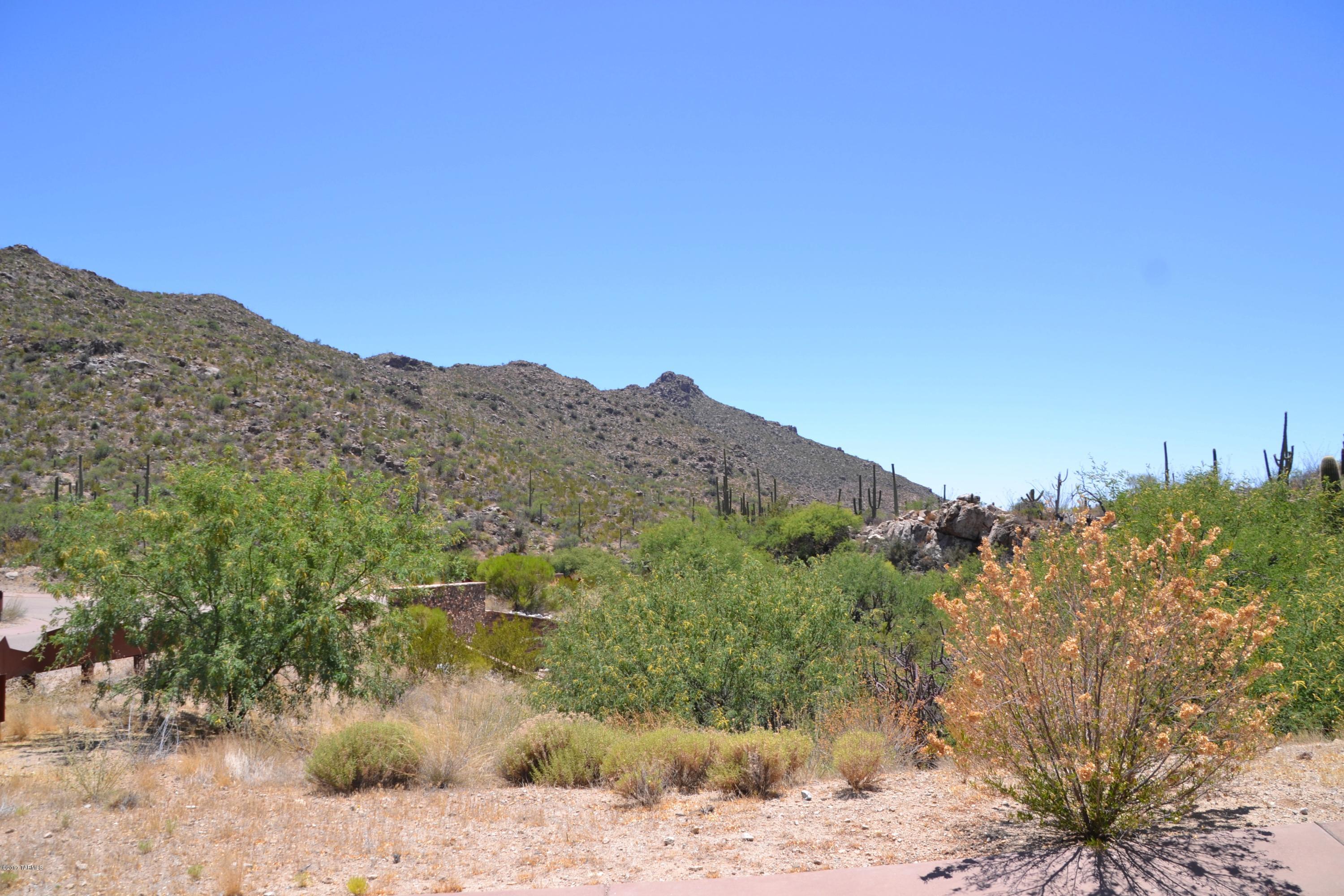 Canyon Pass V At Dove Mountain (280-331) - Land
