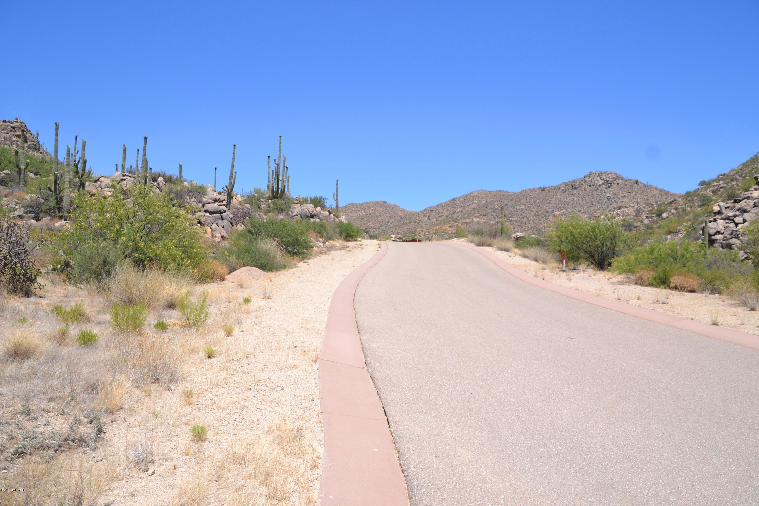 Canyon Pass V At Dove Mountain (280-331) - Land