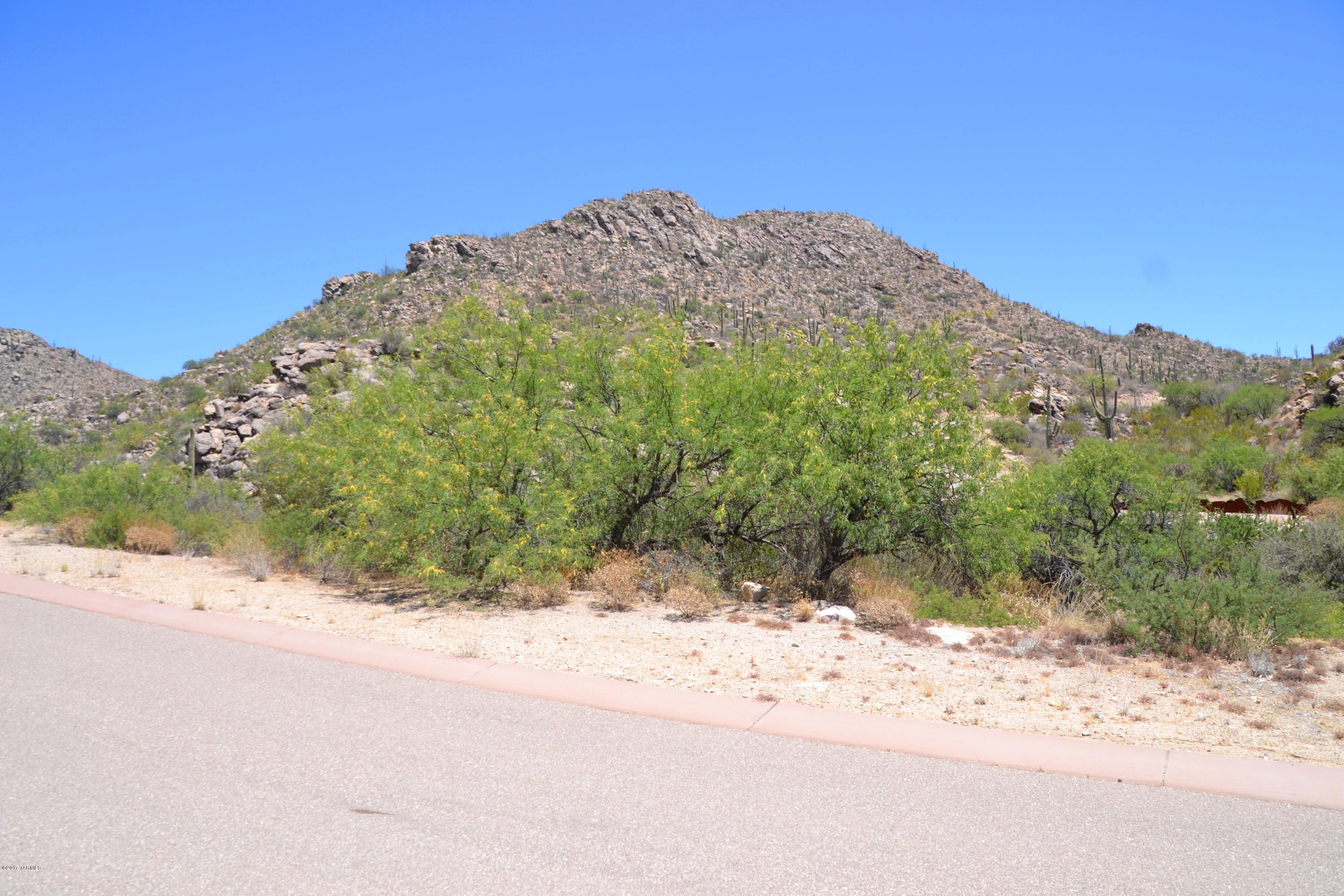 Canyon Pass V At Dove Mountain (280-331) - Land
