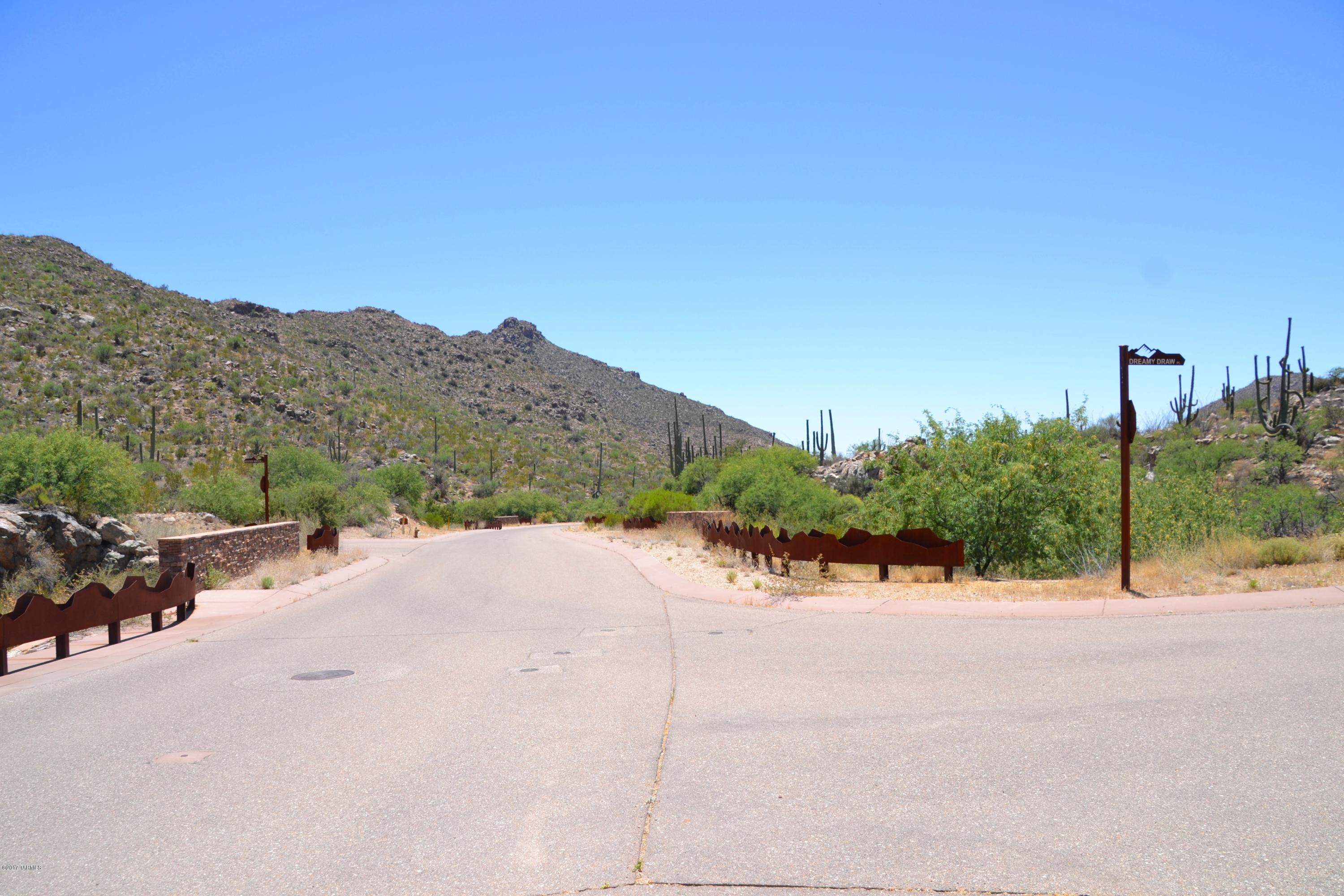 Canyon Pass V At Dove Mountain (280-331) - Land