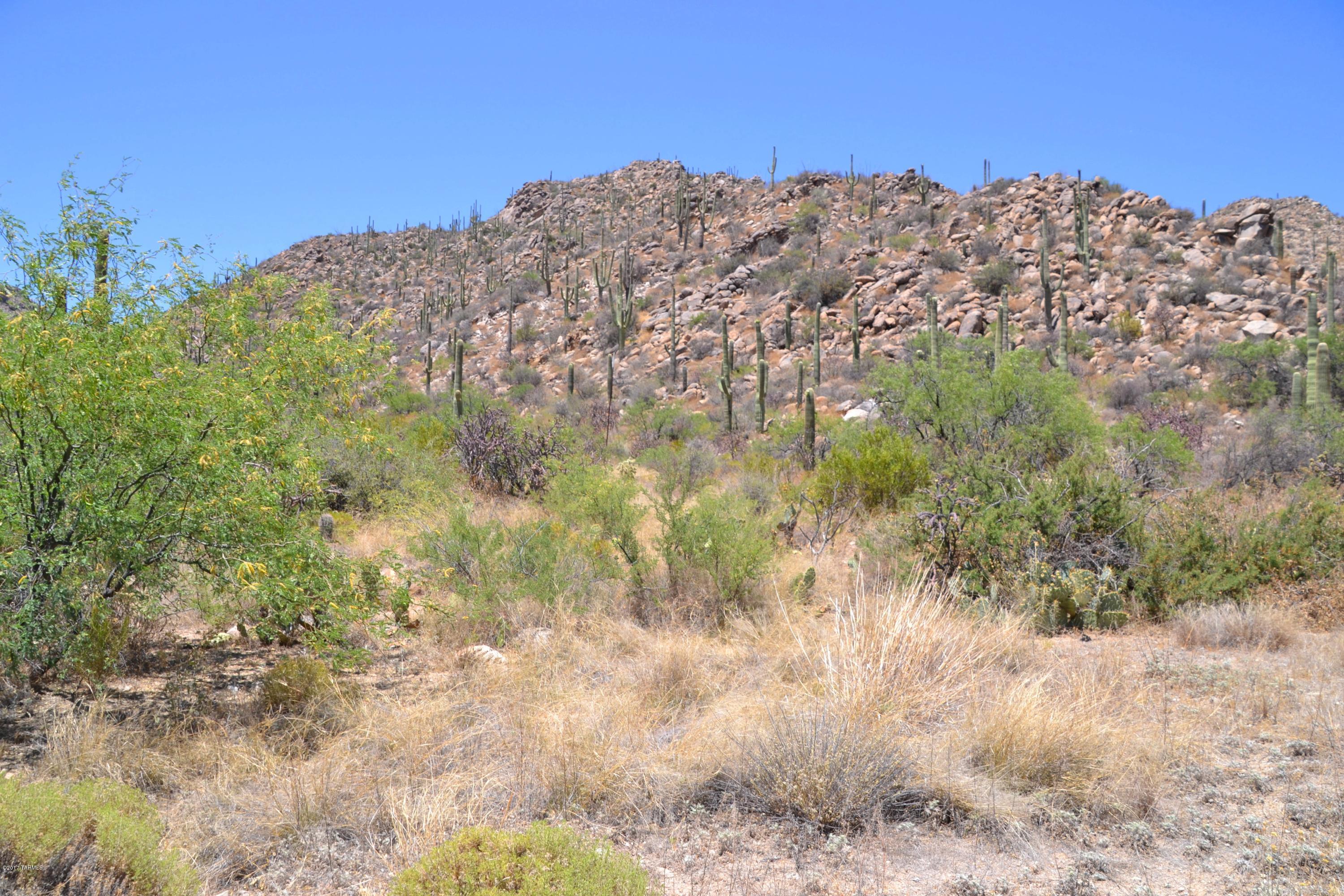 Canyon Pass V At Dove Mountain (280-331) - Land
