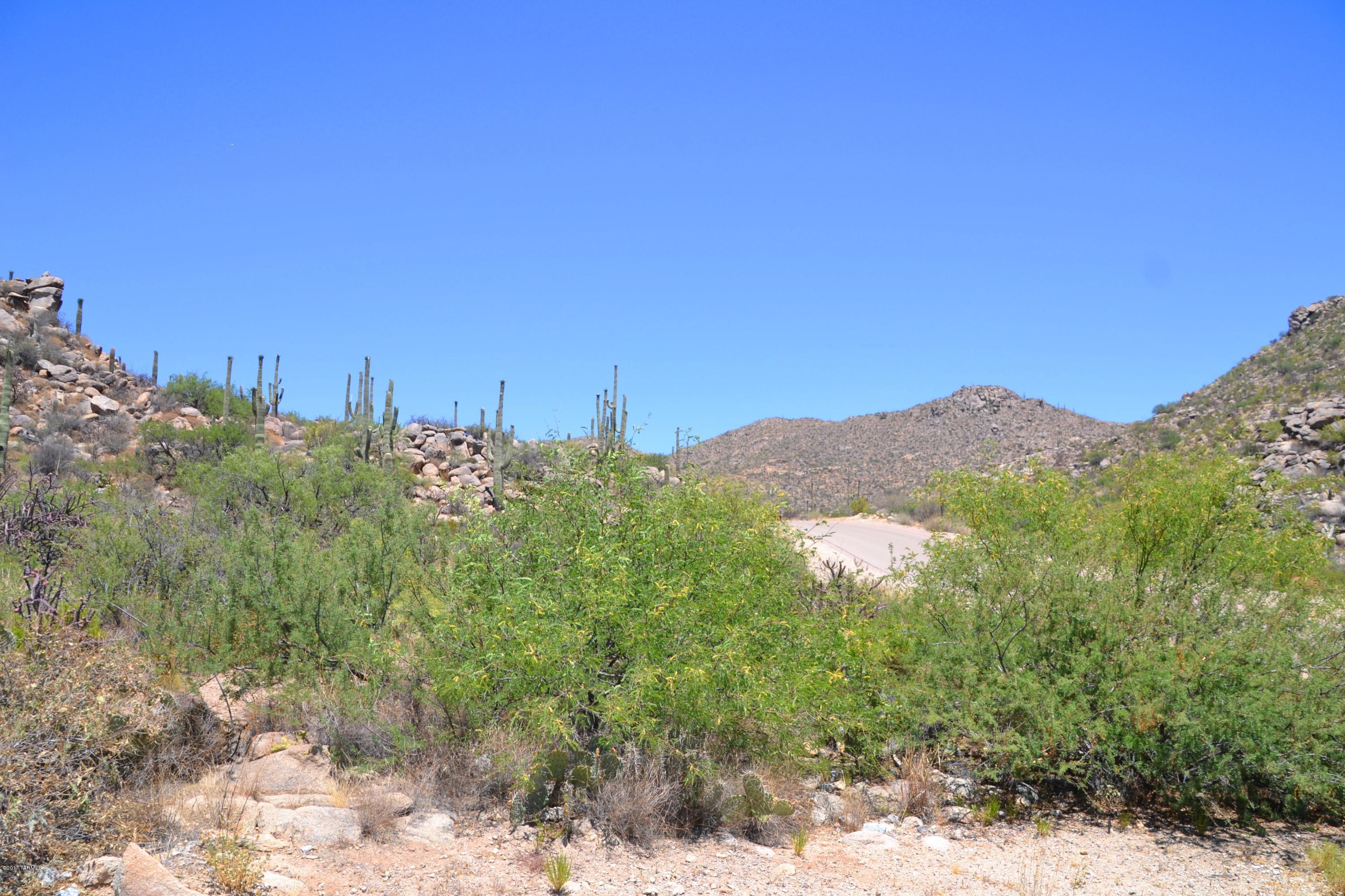 Canyon Pass V At Dove Mountain (280-331) - Land