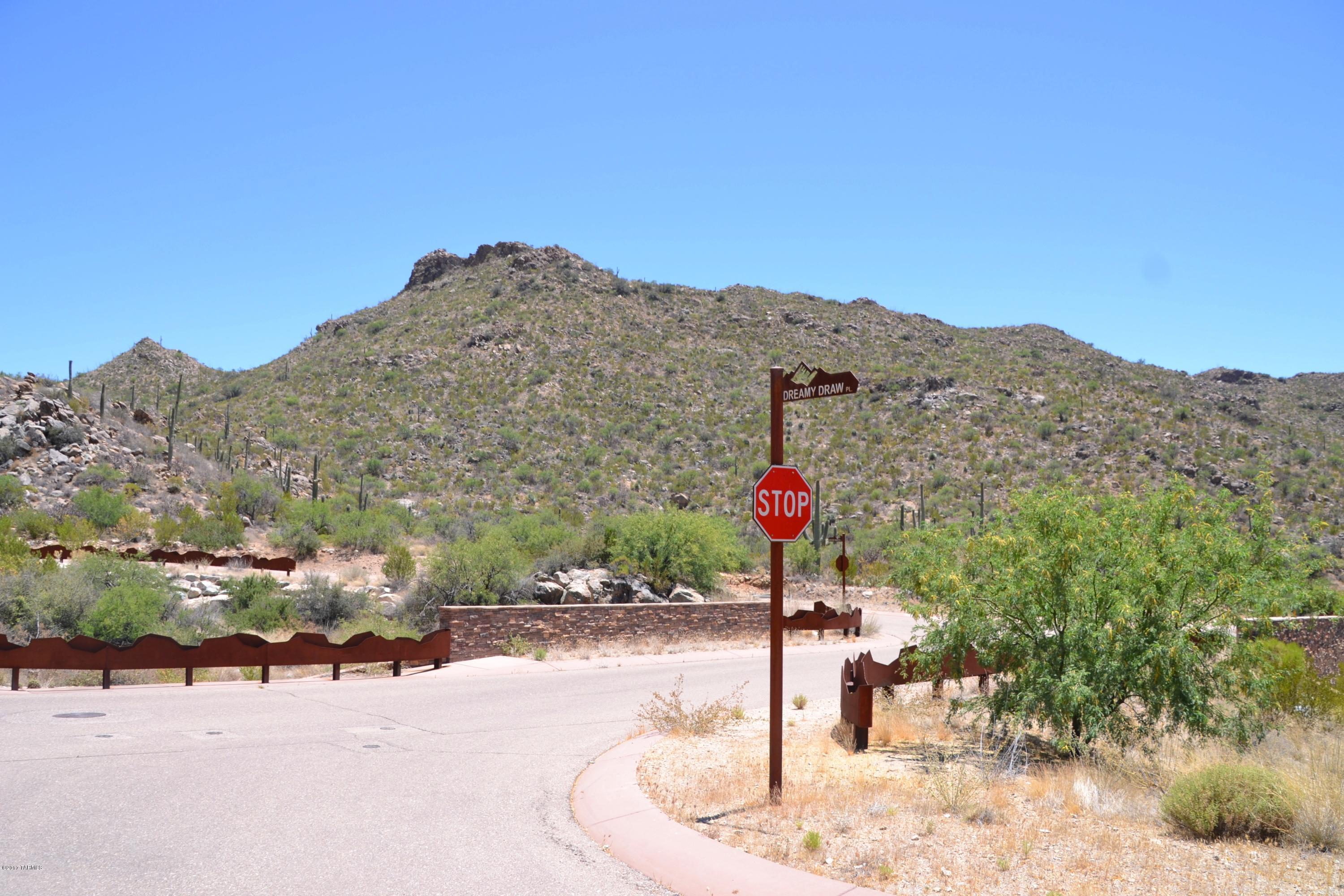 Canyon Pass V At Dove Mountain (280-331) - Land