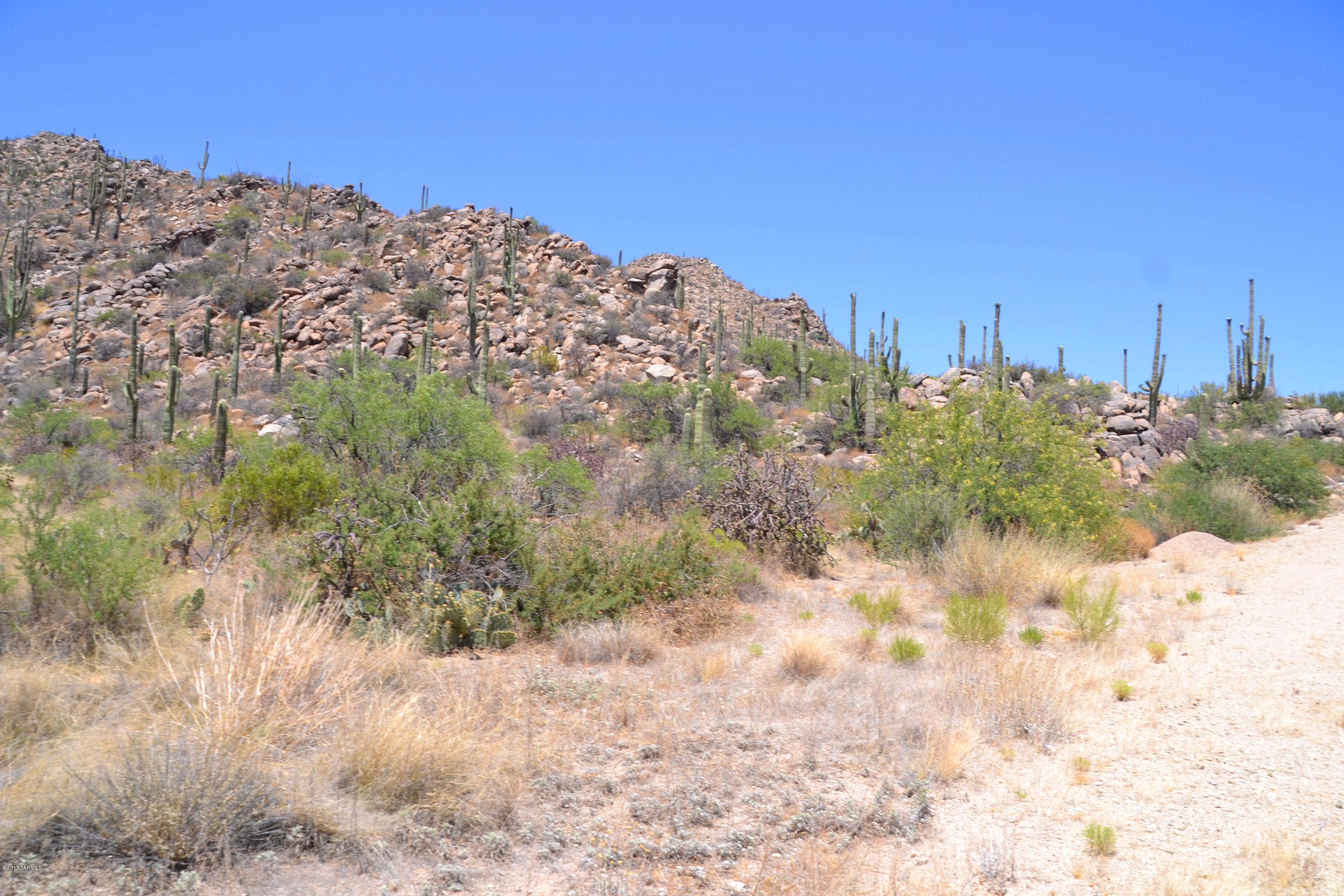 Canyon Pass V At Dove Mountain (280-331) - Land