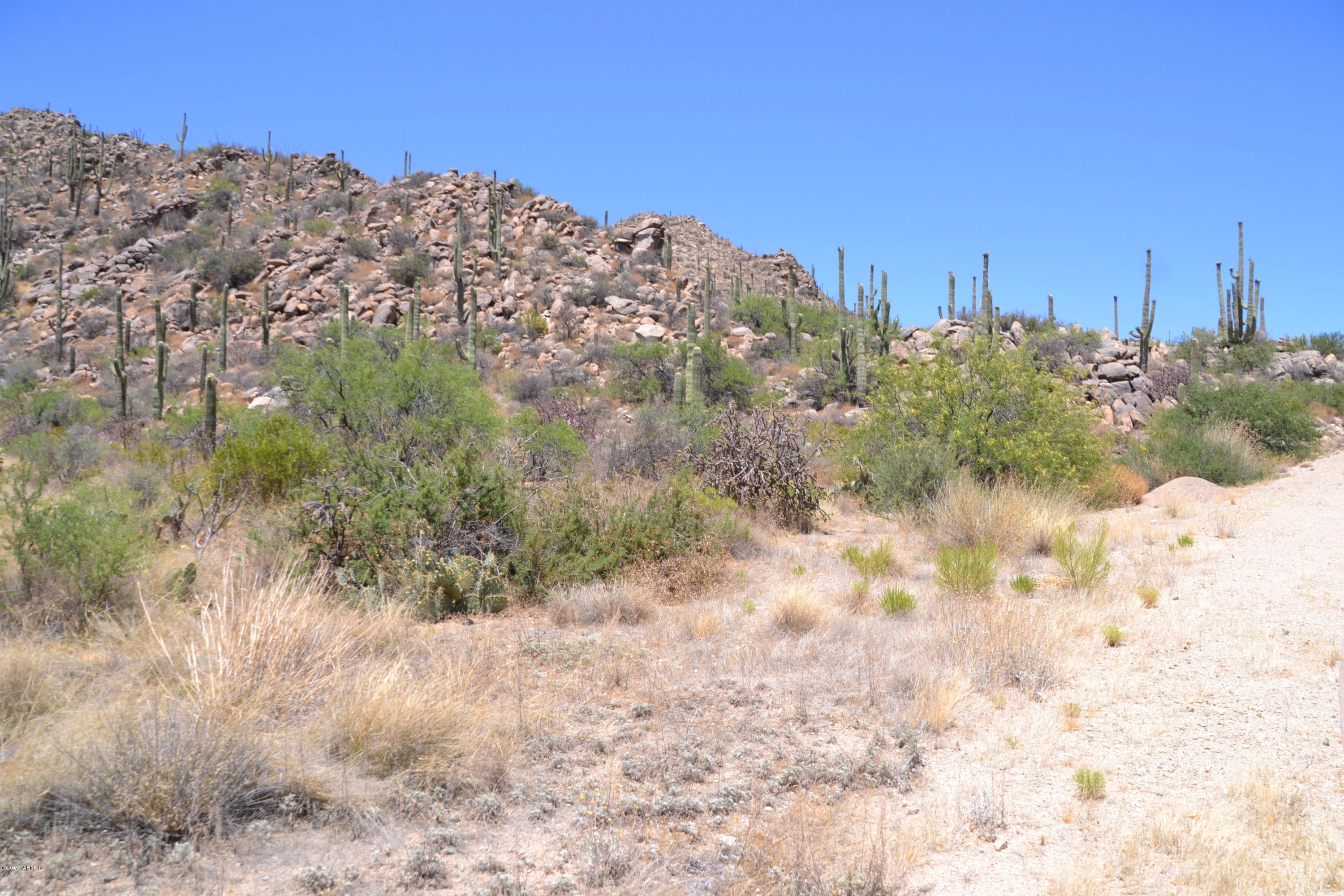 Canyon Pass V At Dove Mountain (280-331) - Land