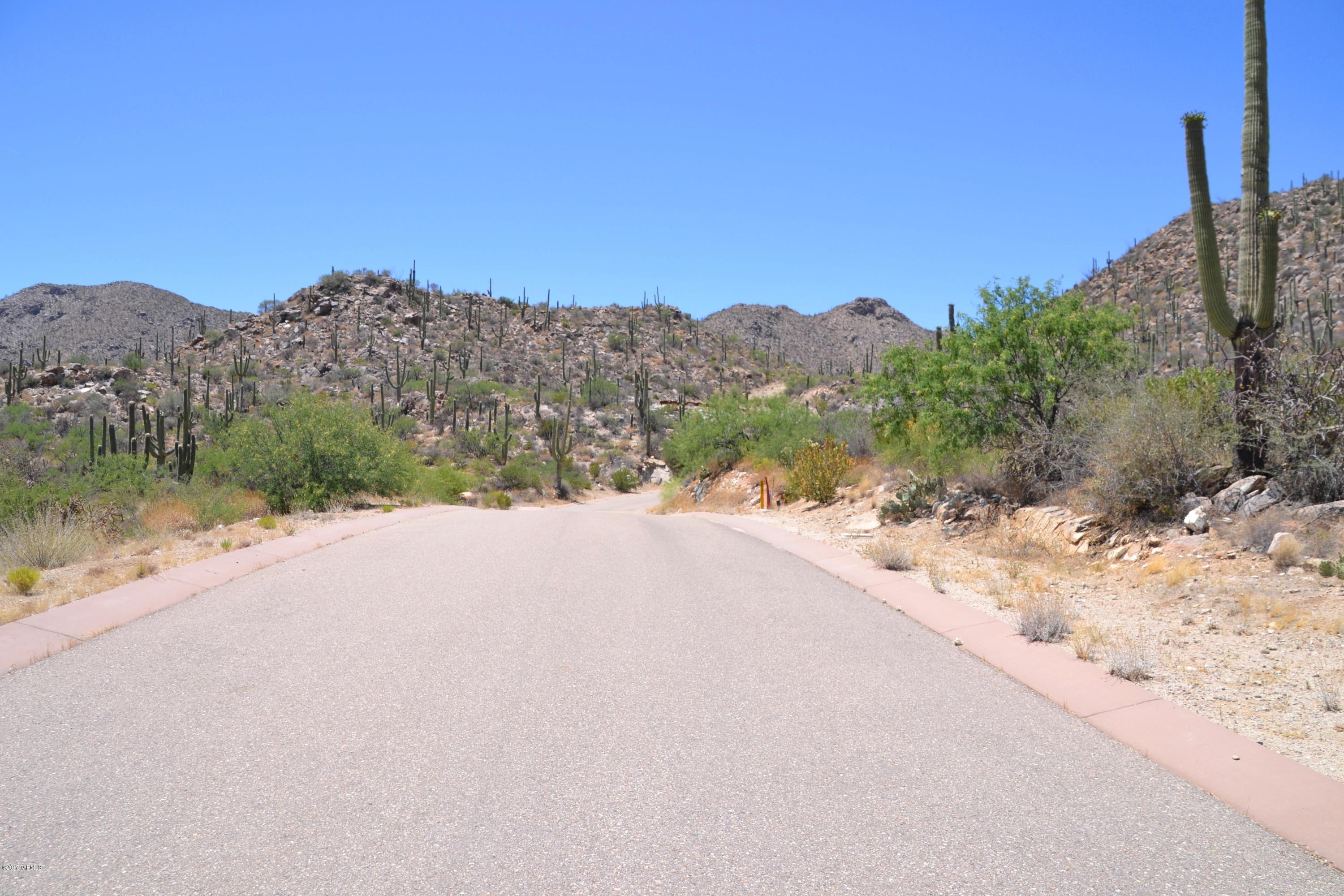 Canyon Pass V At Dove Mountain (280-331) - Land