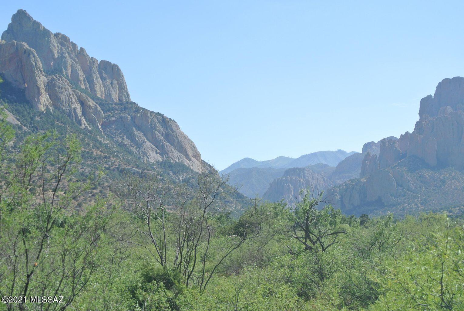 VIEW PROPERTY! Located in SE AZ, approx. 60 miles N of the Mexican border & 8 miles W of the New Mexico state line. Portal is located at the mouth of Cave Creek Canyon in the Chiricahua mountains. The Coronado National Forest is in close proximity. Portal consists of a store, cafe, motel, medical clinic, library, and PO. Views galore, stargazing, birdwatching, wildlife and horse country. Unparalleled views of Cave Creek Canyon and the Chiricahua Mountains. The 4.99 acre lot is one of two adjacent parcels; the 4.80 acre parcel immediately to the south is also available.