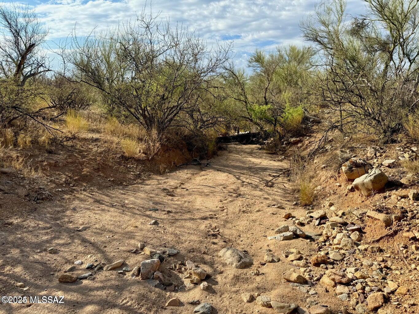 Diamond Bell Ranch - Tucson Unit 11 (1-448) - Land